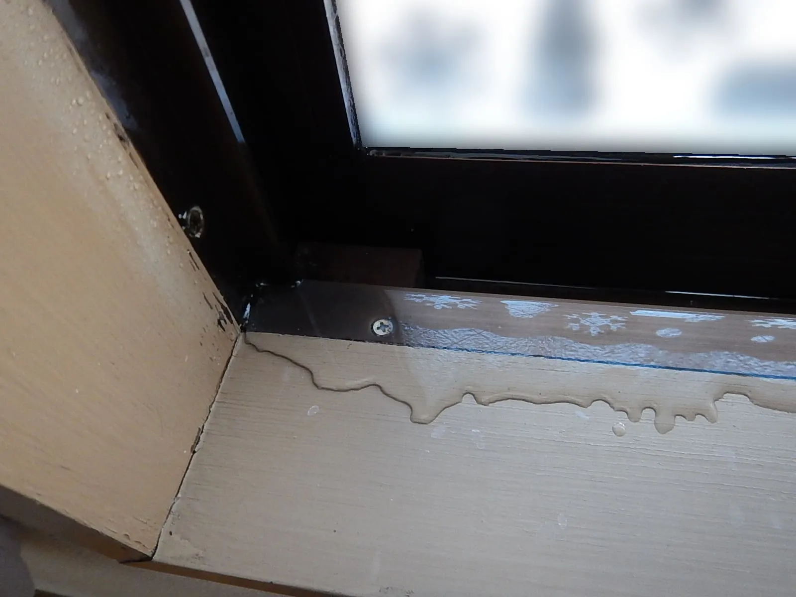 中古戸建とマンションで結露の出方が違う理由―同じ冬でも、起きている現象は別物です―