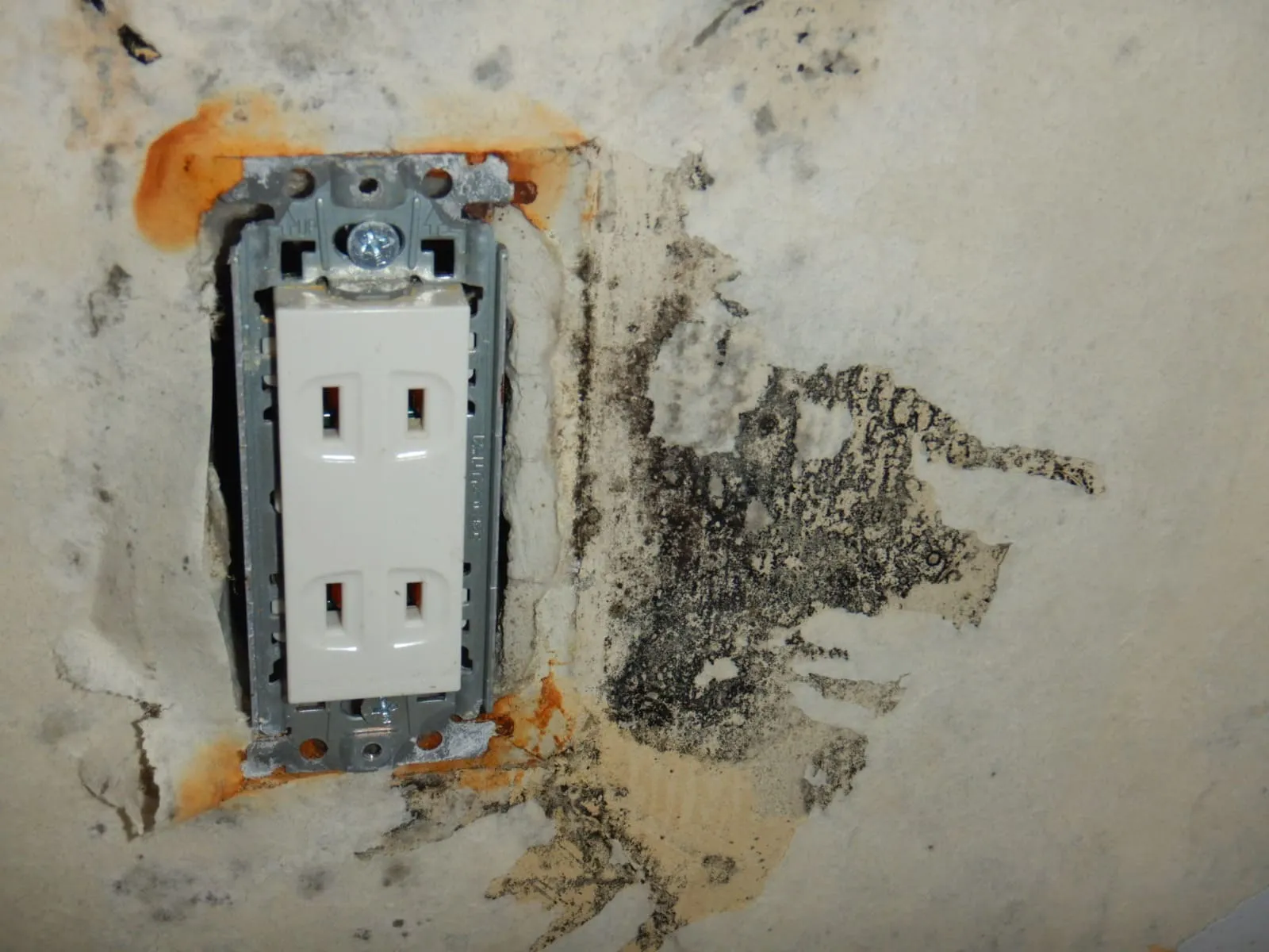 断熱材のない築古マンションで結露カビが止まらない理由