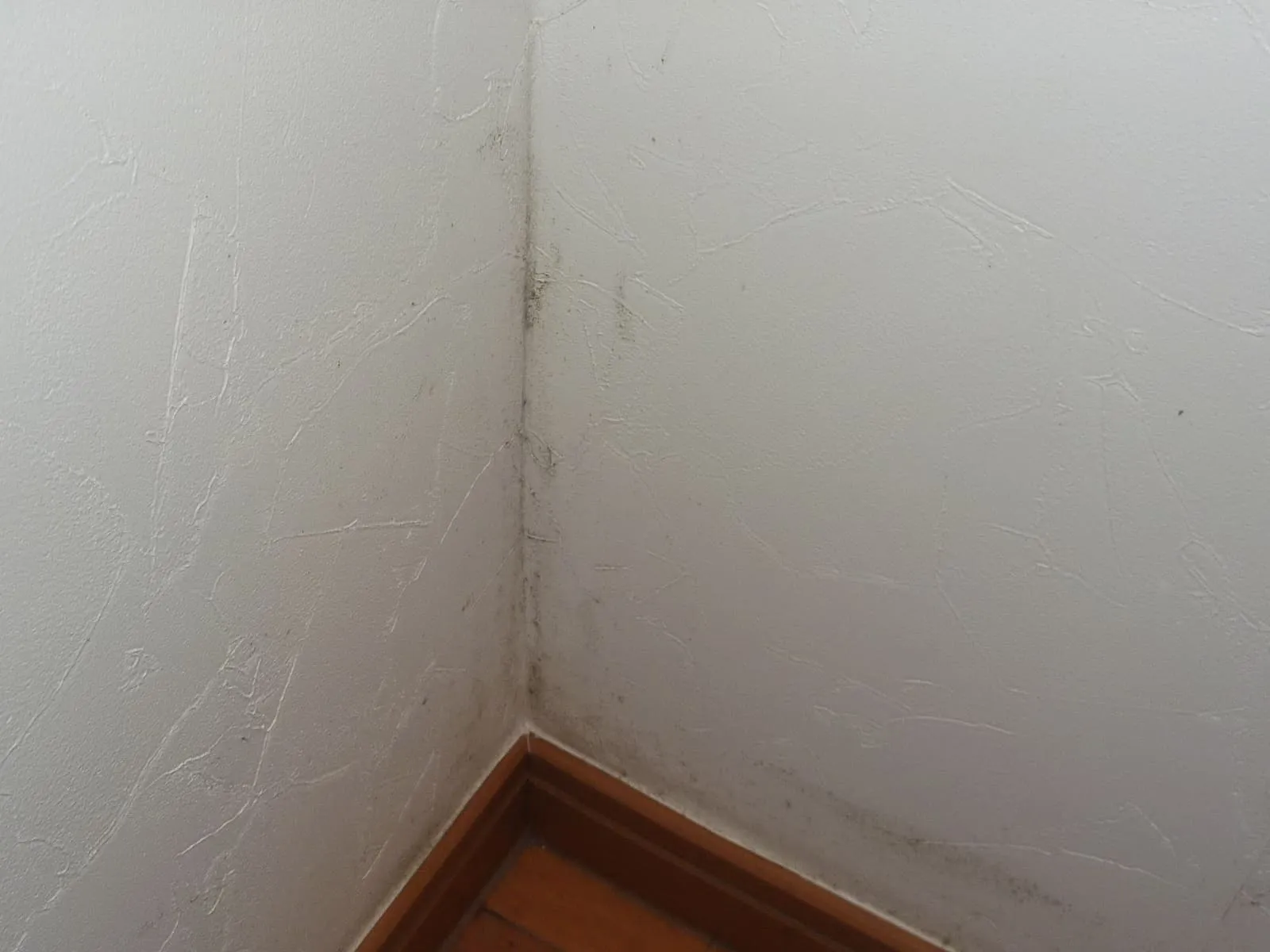 冬に勘違いしやすいカビ臭の話