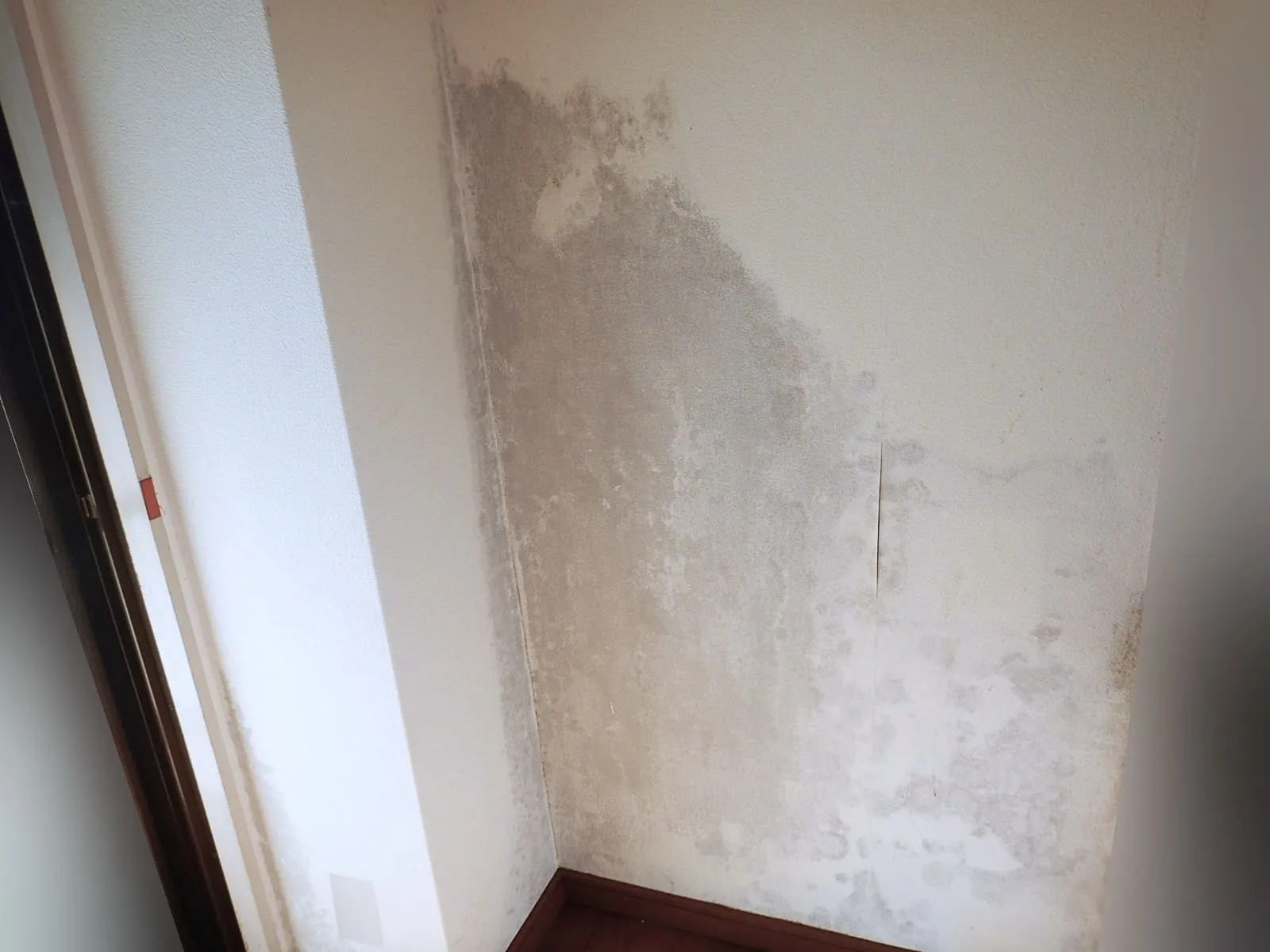 その部屋、もう結露しています｜気になるうちに考えたい集合住宅の結露カビ対策