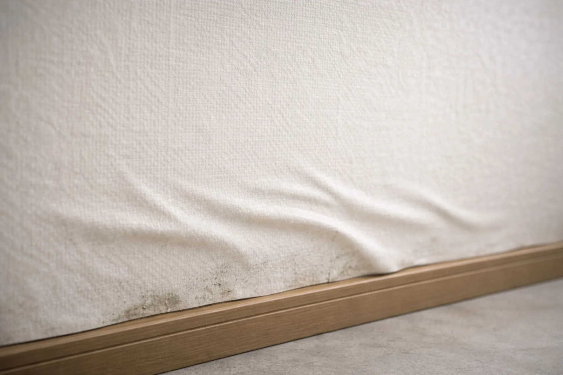 壁紙のよれ・浮き・剥がれは何を示しているのか ― 分譲マンションで結露カビが止まりにくい理由 ―