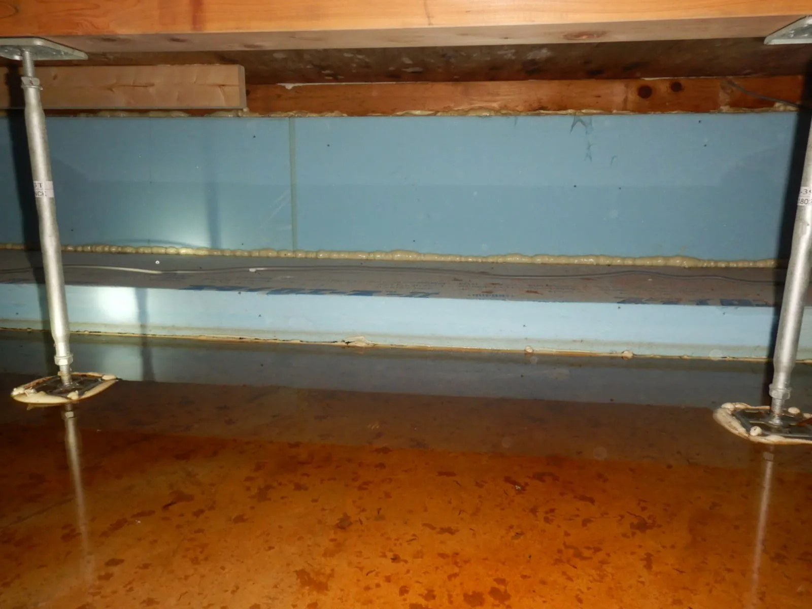 新築・築浅でも起きる床下のカビ|コンクリートスラブを見て判断してください