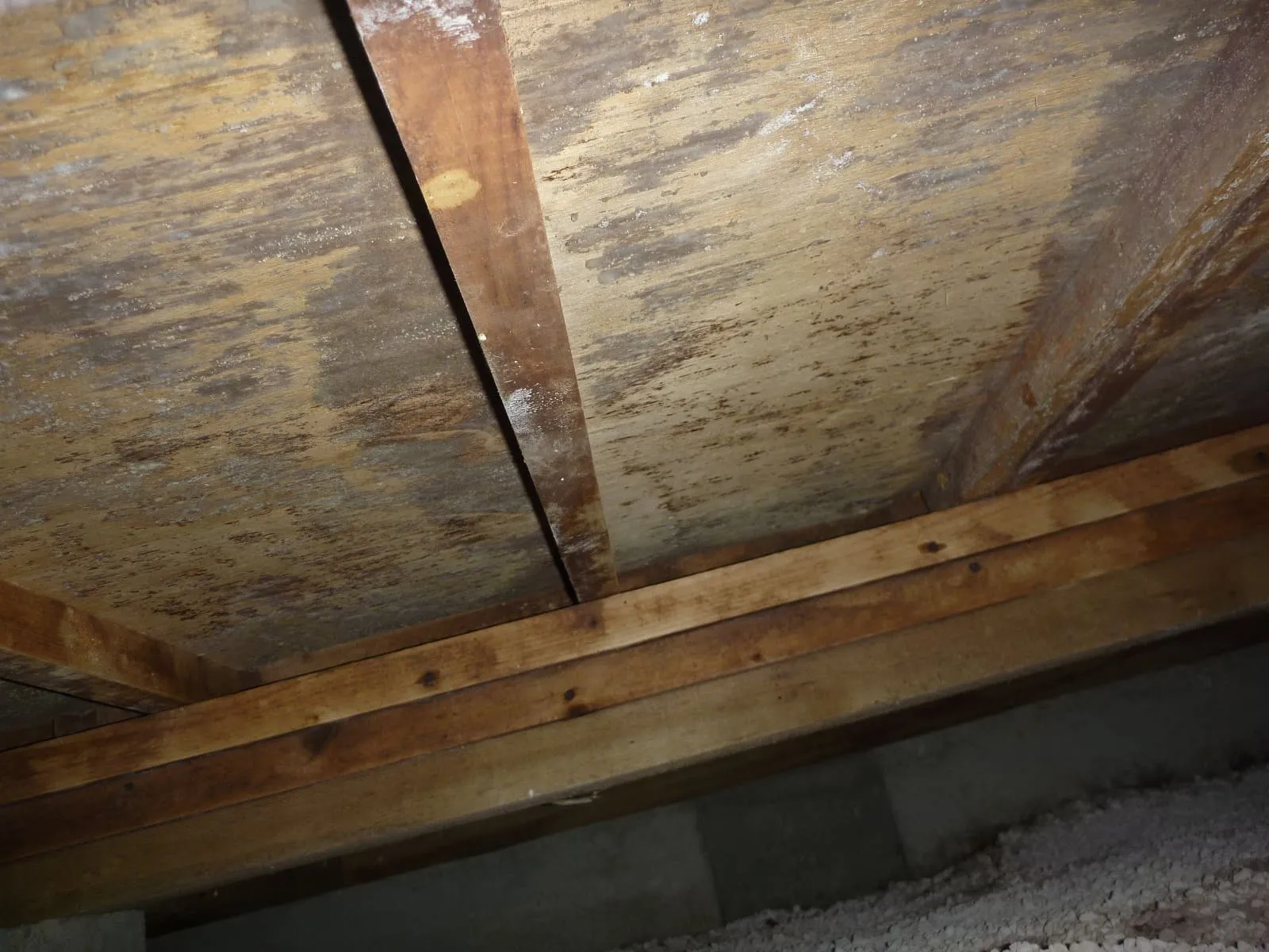 防腐防カビ剤を撒くだけで安心していませんか？｜自宅床下をカビから守りたくありませんか？