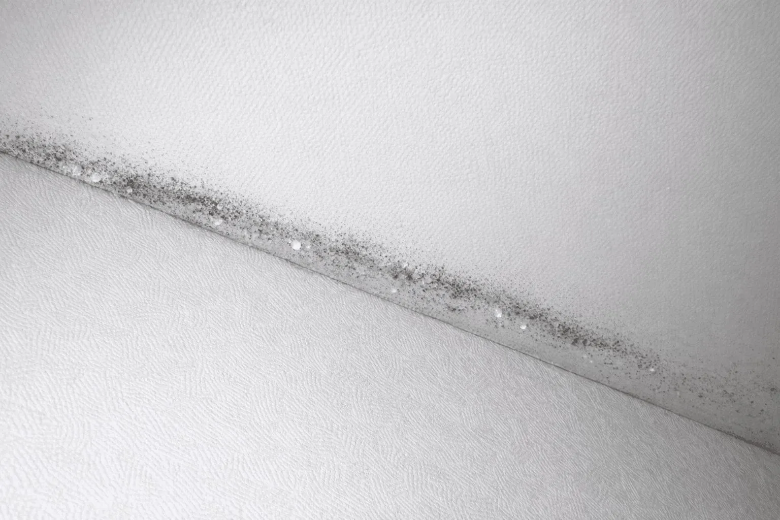 温度が高くても、天井や壁が冷えるから結露する｜築古マンションでカビが止まらない本当の理由