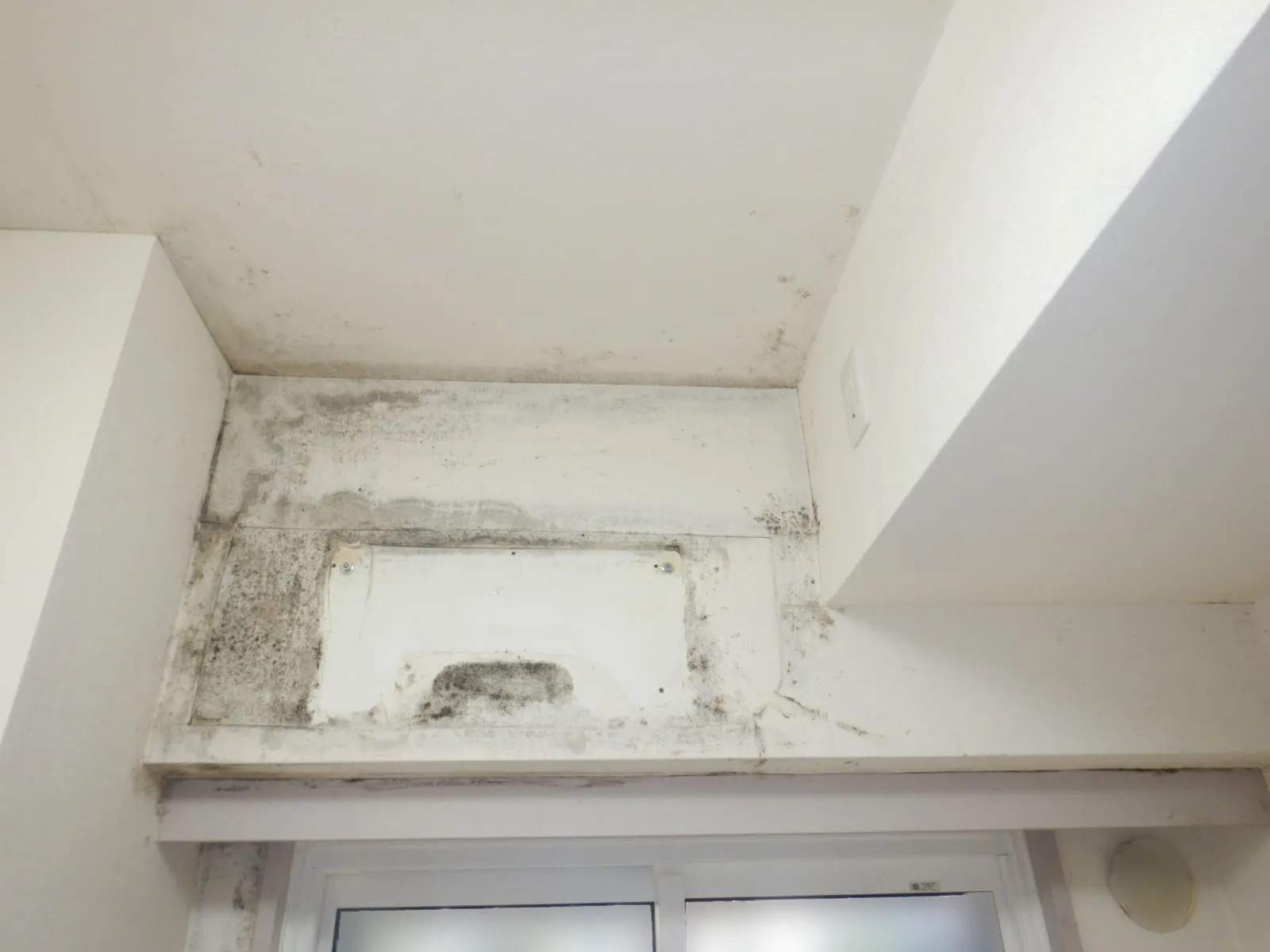 入居中でもできる結露カビ対策｜更新時まで待てない大家さんへ防カビ結露対策工事という選択