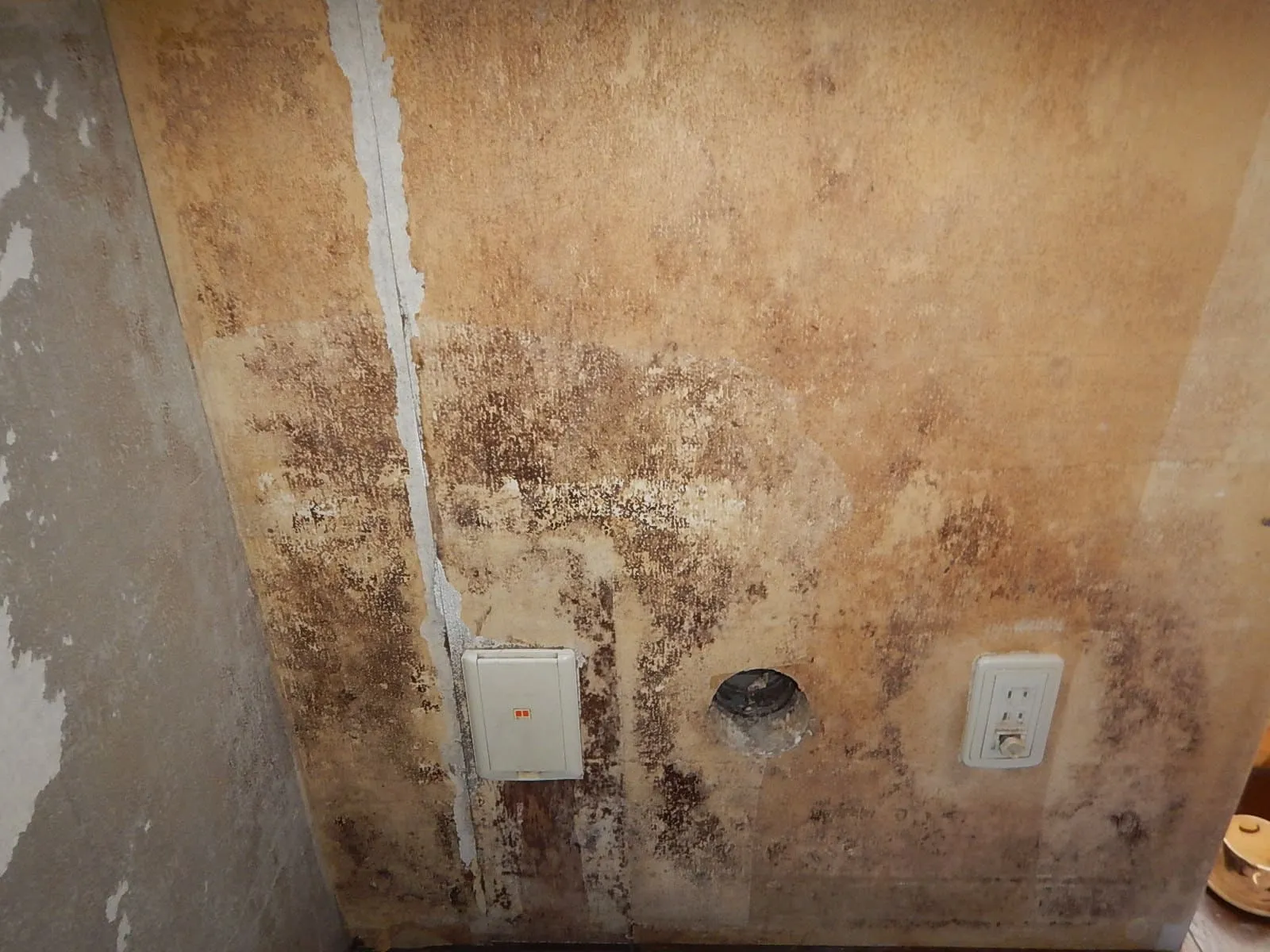 賃貸退去後・入居中の壁紙カビで悩んだ時｜ 張替えがカビ対策のチャンスです