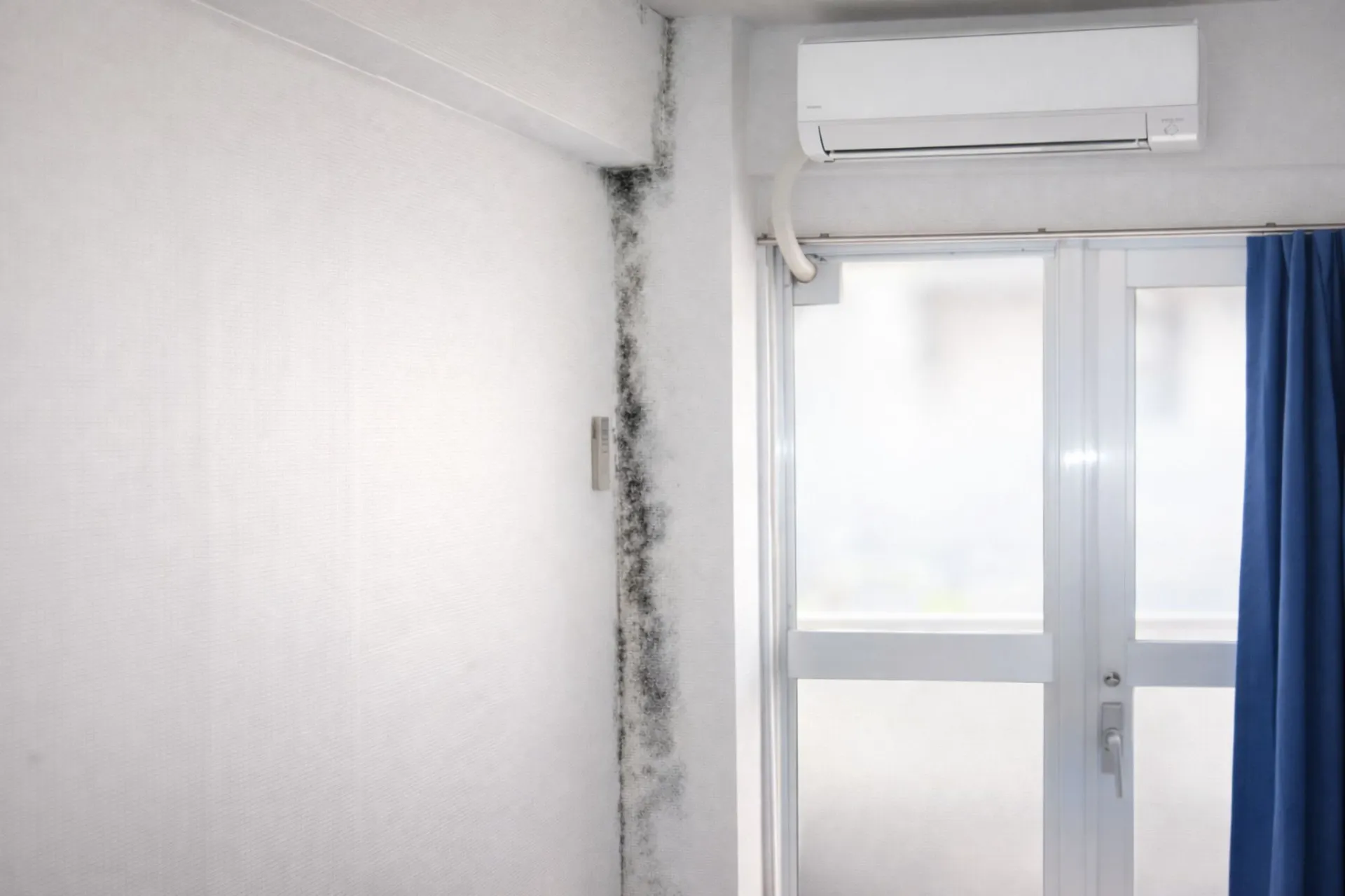 賃貸における防カビ結露対策工事の在り方｜「その場所だけ」で本当に足りますか？