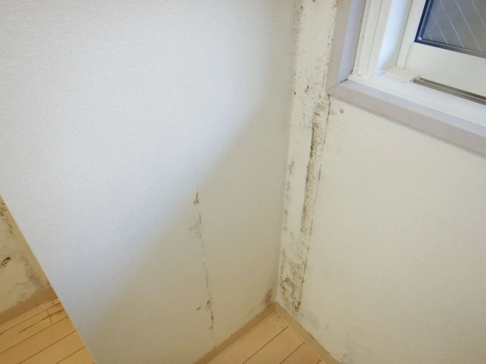 分譲マンションは我慢が長くなる｜結露とカビ対策の判断が遅れる理由