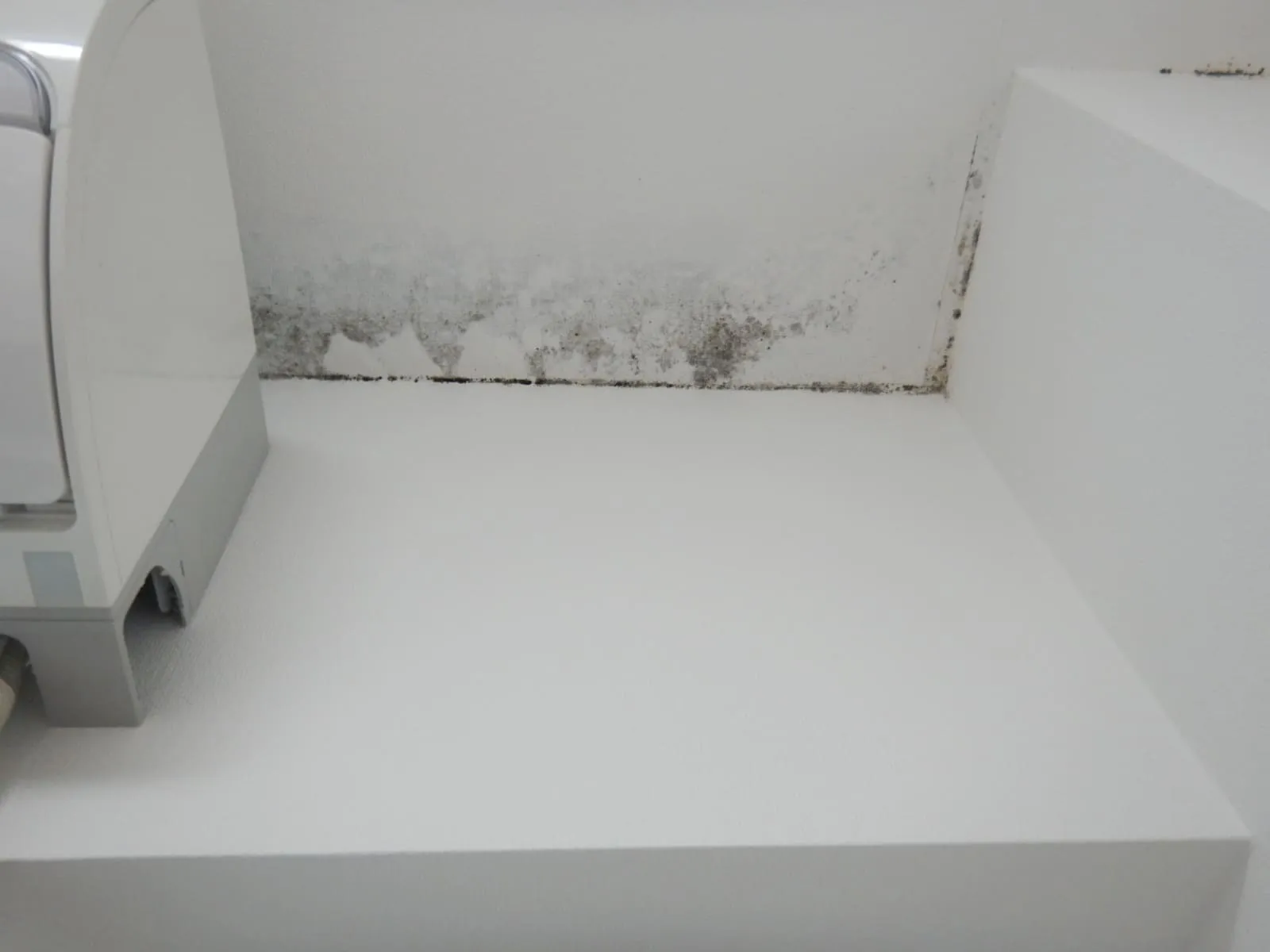 住み続ける賃貸にするために｜コンクリート直張り壁紙の結露と黒カビを考える