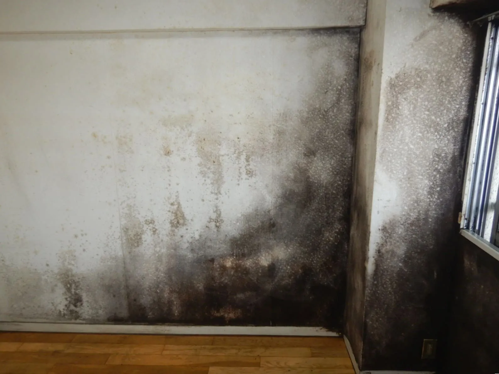 黒カビが目立つ壁紙をそのままにしていませんか？ ― コンクリート直張り壁紙で起きている、見た目以上の問題 ―