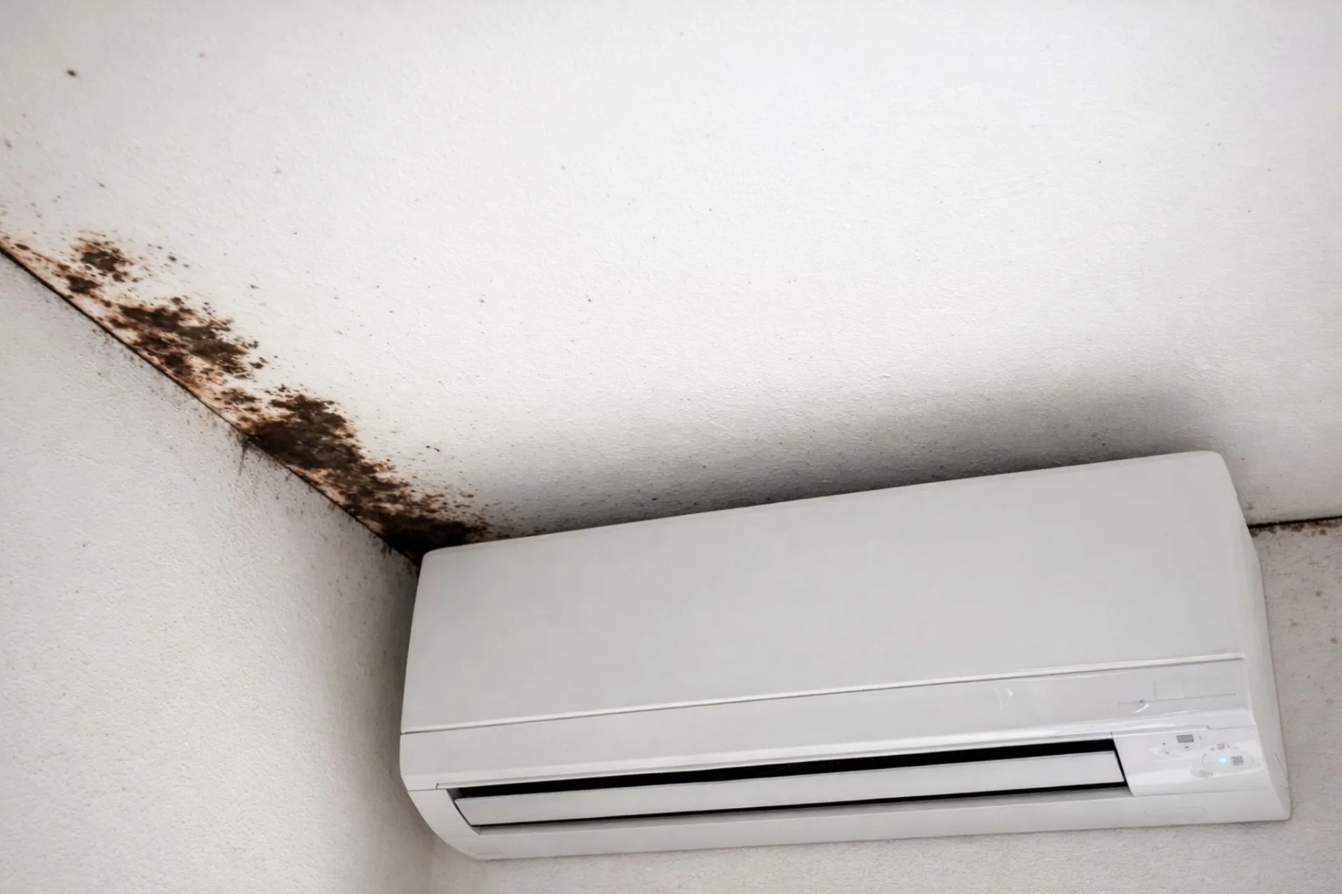 【埼玉】分譲賃貸・分譲マンションで起きる天井・壁の結露黒カビとカビ臭