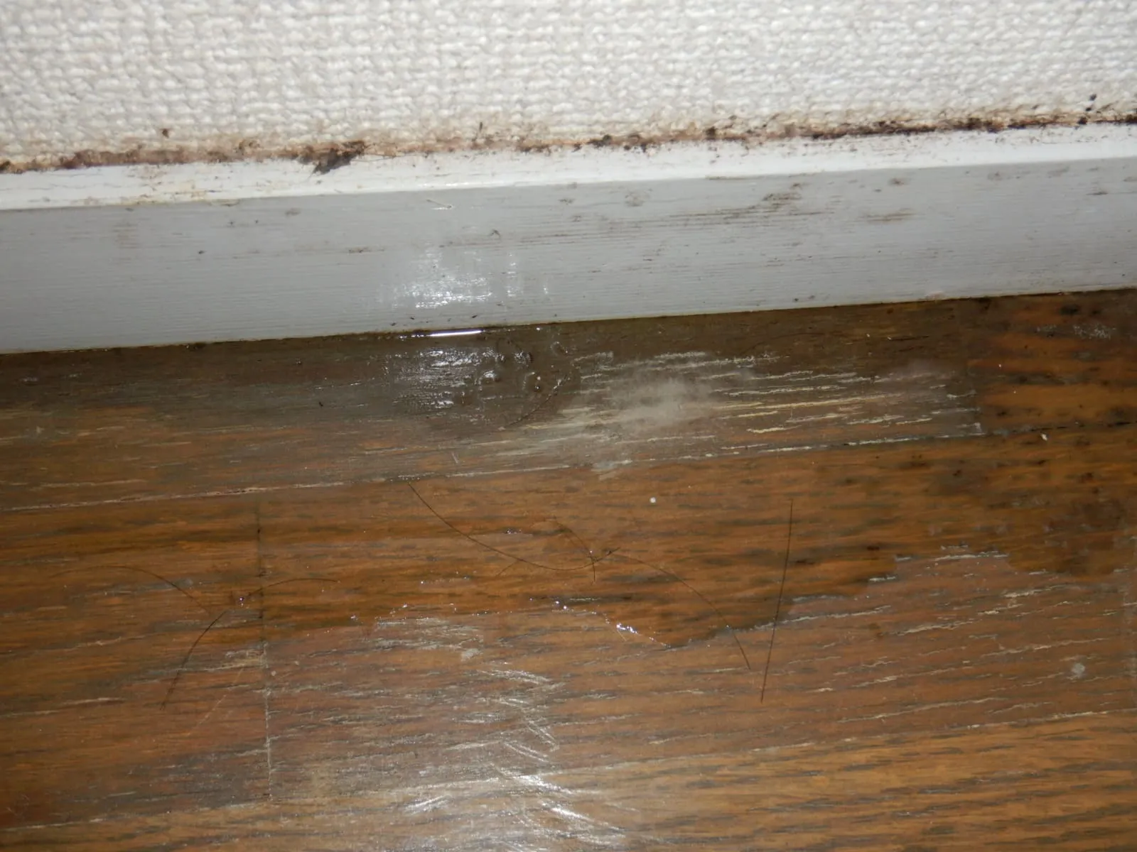 フローリングが濡れる部屋は要注意｜天井から水が落ちる“結露カビ”の正体