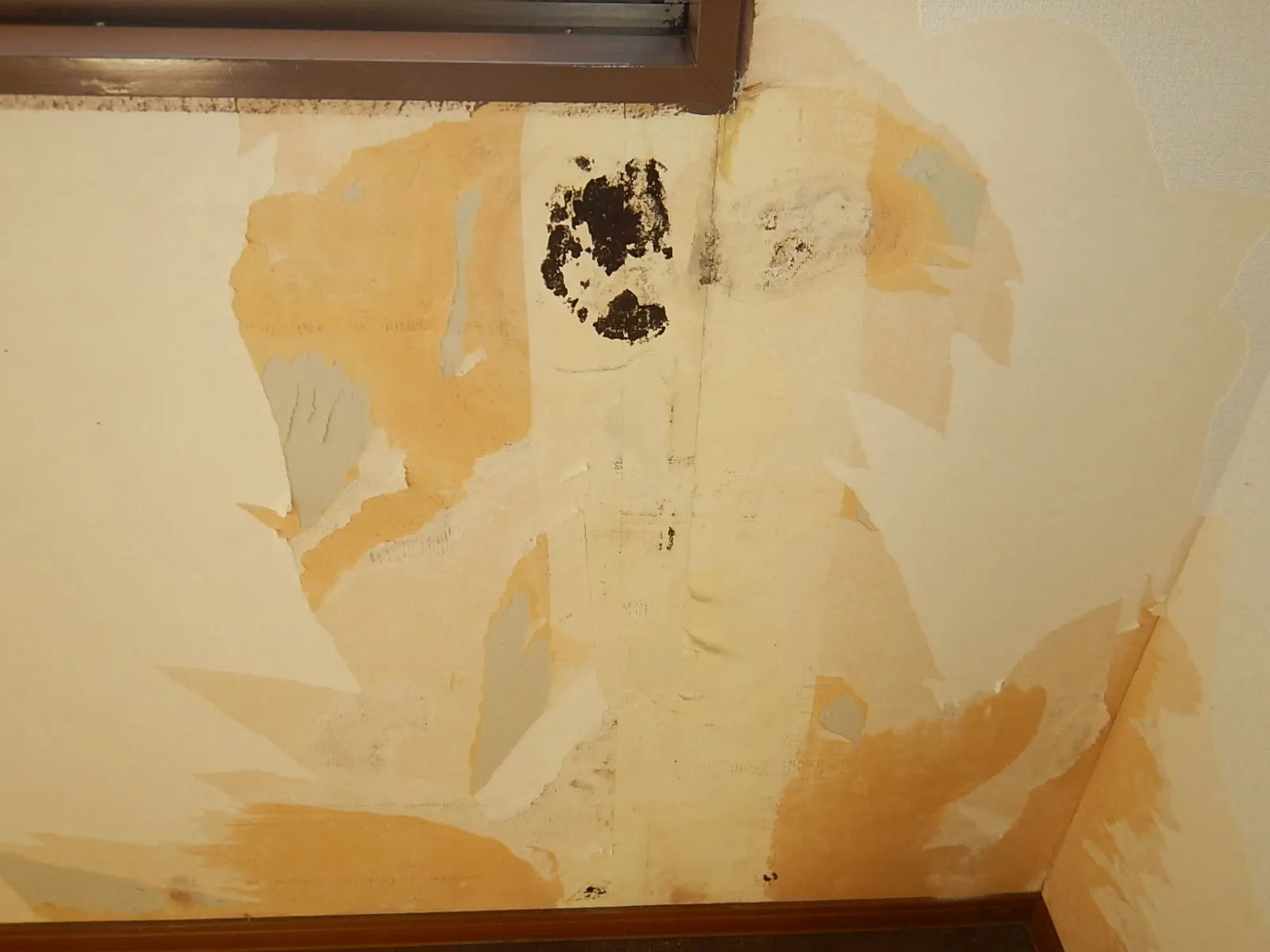 賃貸退去後の原状回復工事｜壁紙を張替える前の下地カビ処理が再発を左右します