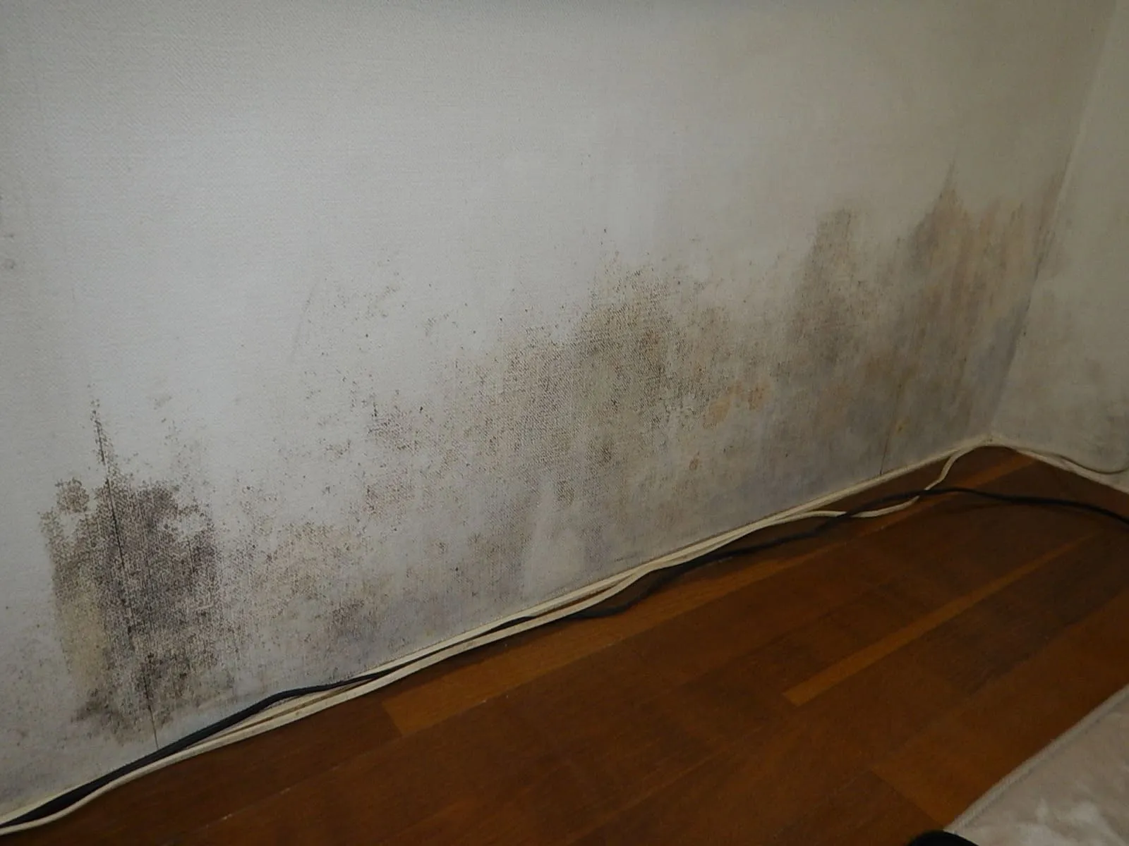 【埼玉】壁紙のカビ、相談相手を間違えていませんか？― 張替えだけでは止まらない“下地カビ”の話 ―