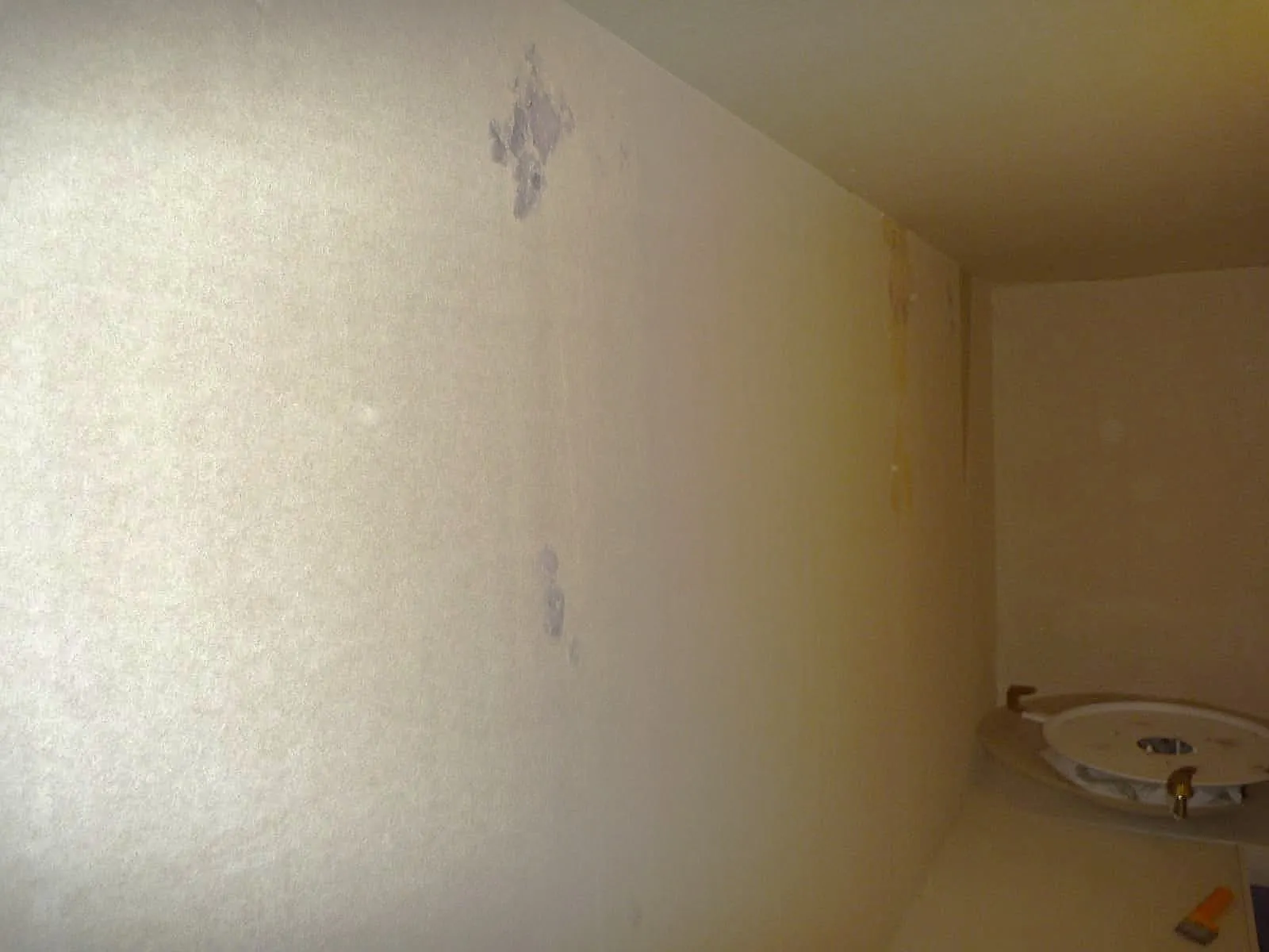 地下室を寝室にしていませんか？ 湿気と下地カビが止まらない本当の理由