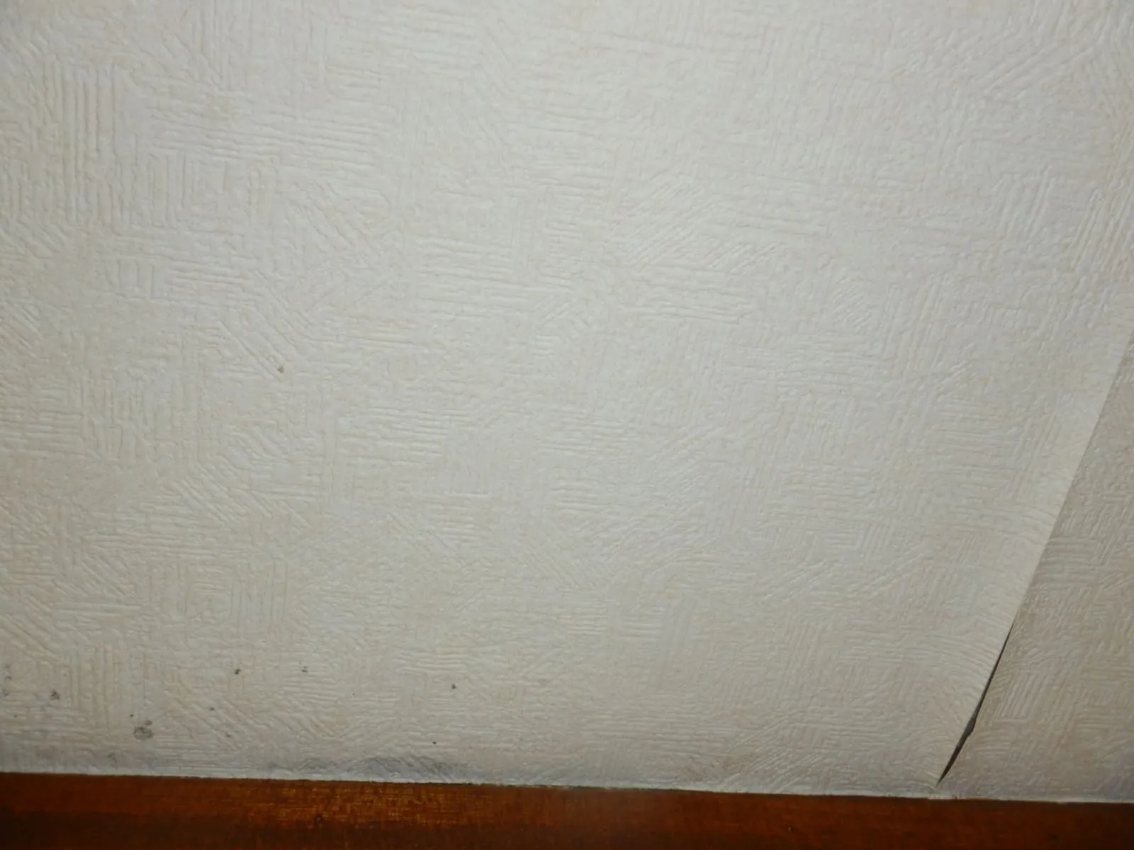 【埼玉】冬がカビを作っている。梅雨ではありません。