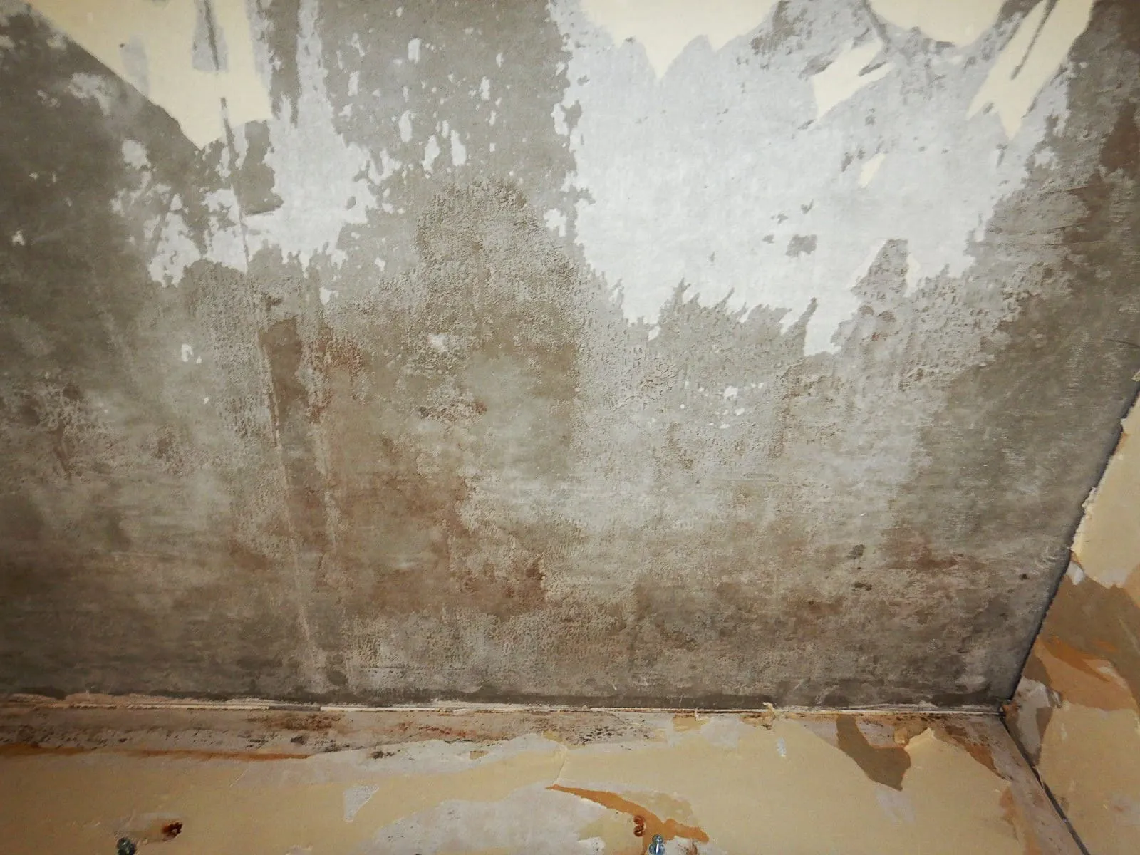 【埼玉】逃げる部屋か、迎え入れる部屋か。結露カビを止めた賃貸の選択