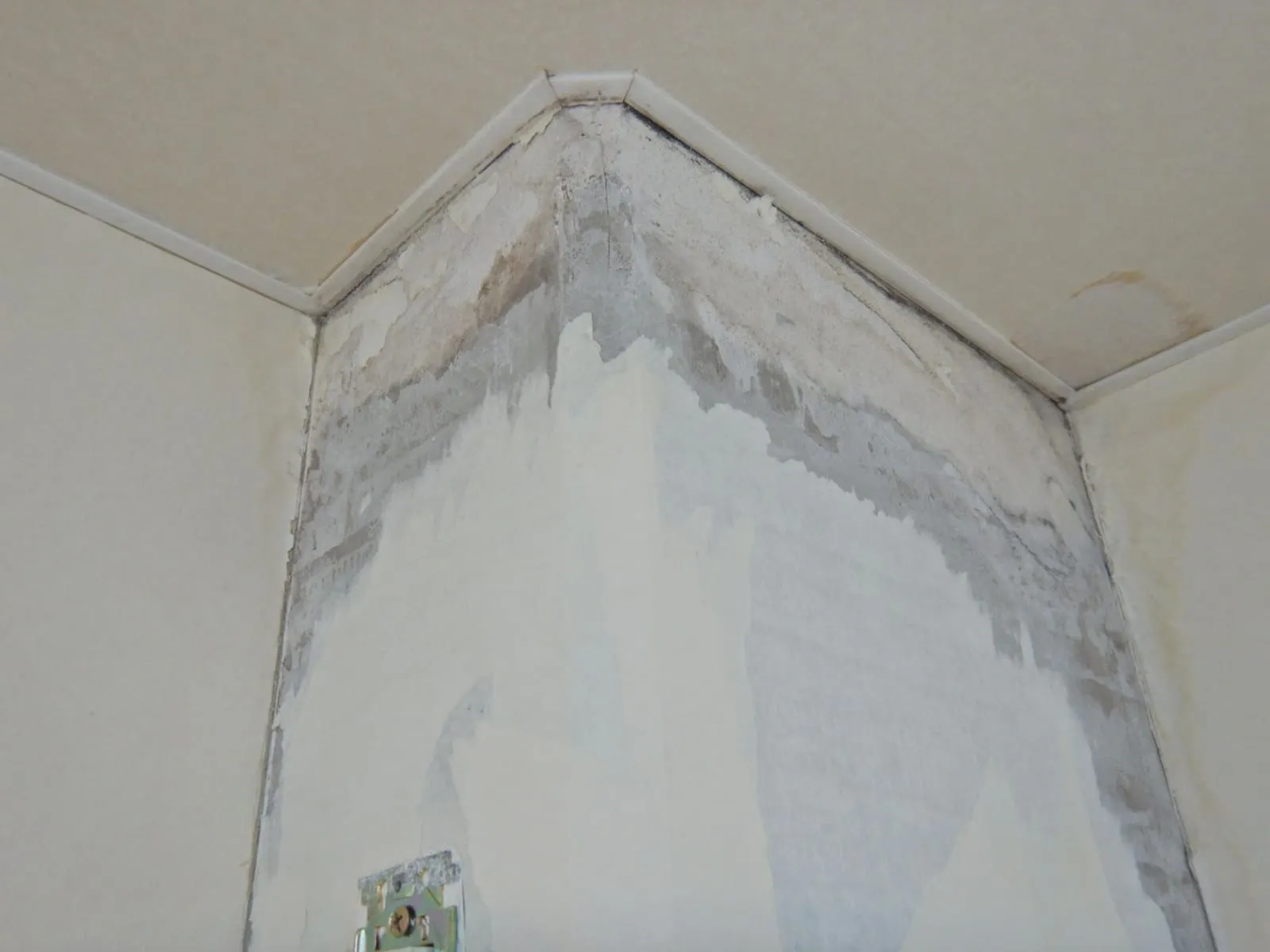 【埼玉】結露を止めなければカビは解決しない｜コンクリート直張り壁紙の賃貸物件で繰り返す理由