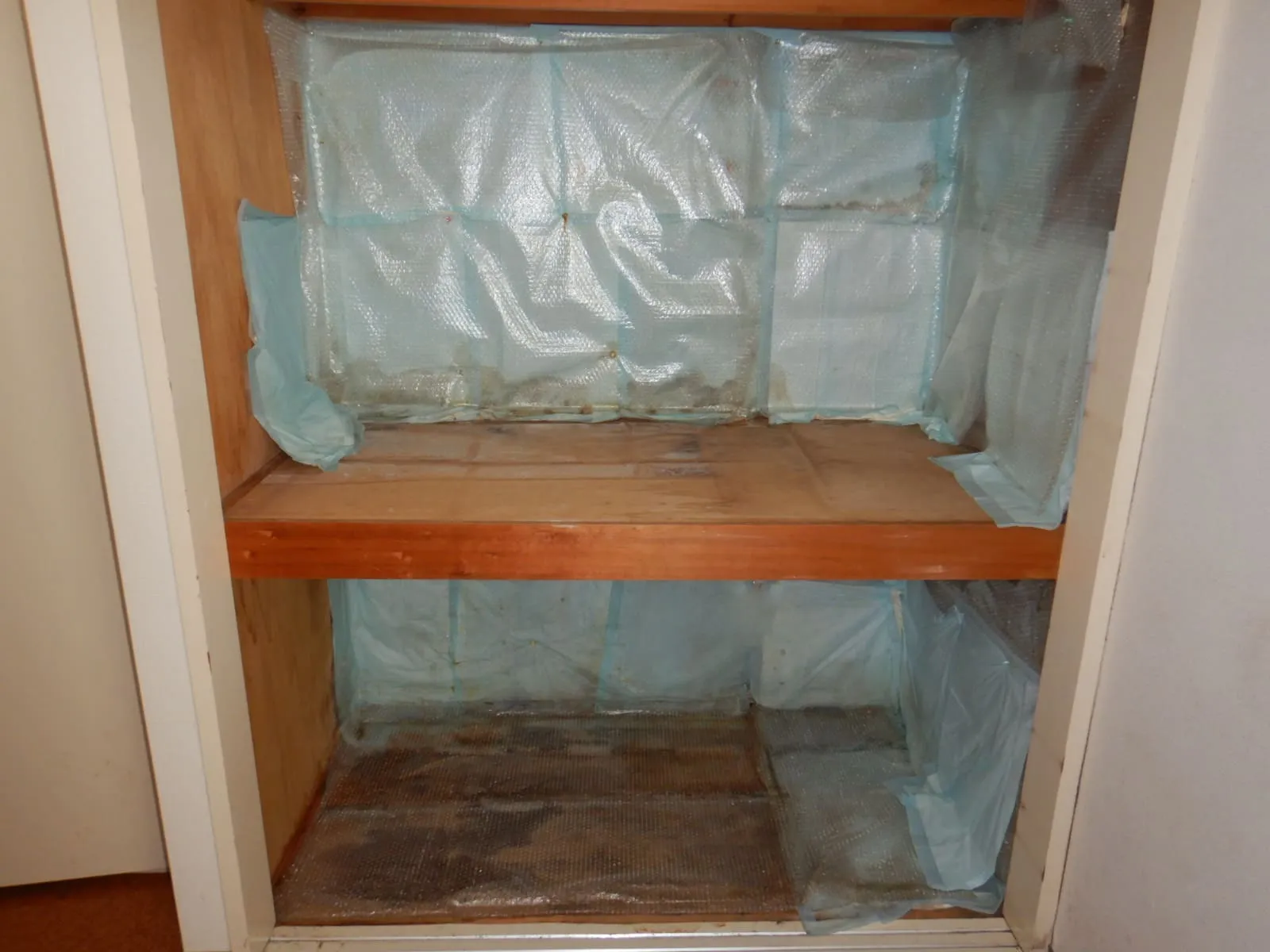 7年間放置された押入れ結露の現実｜奥行き3cmの賃貸押入れで選んだ現実的な対処法