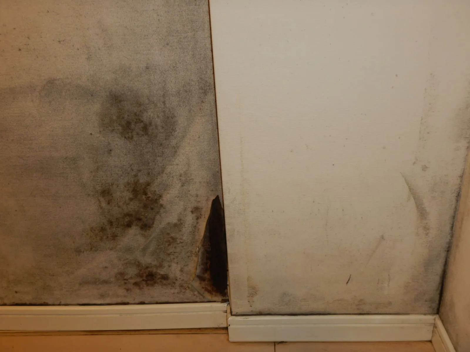 壁に断熱材を貼れば結露は止まる？｜賃貸オーナー様へ伝えたい現場の話