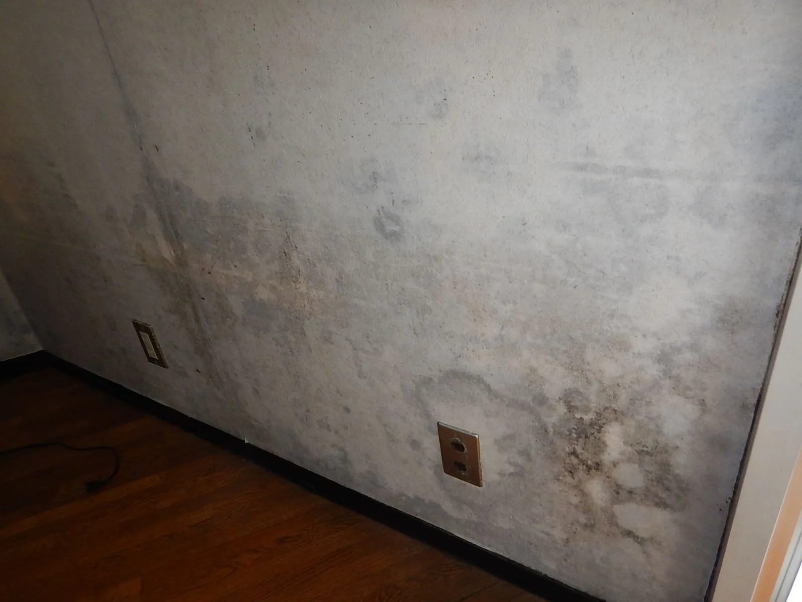 コンクリート直張り壁紙の結露カビ｜張替えだけでは止まりません