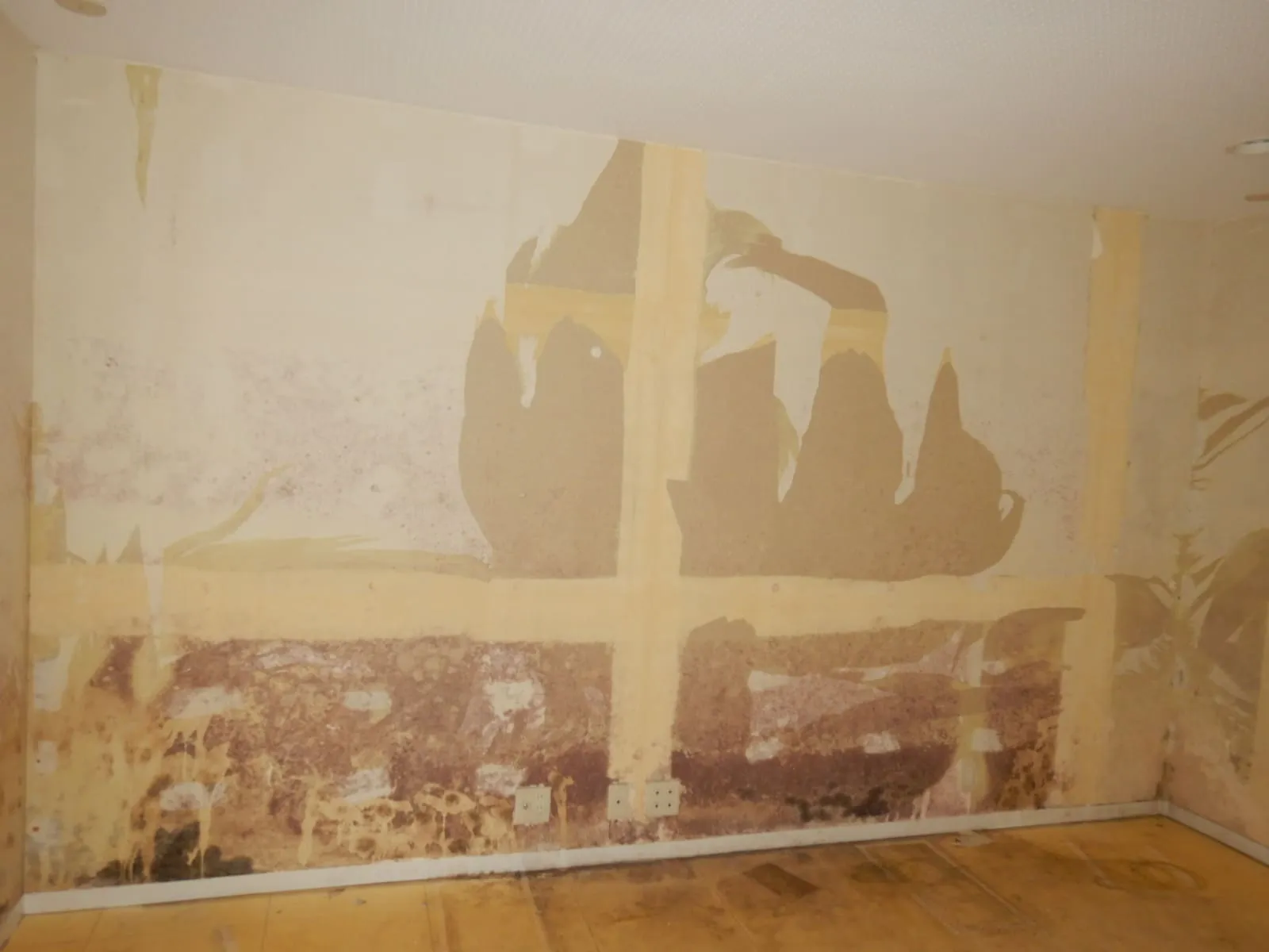 あなたの地下室はどの段階?|築年数で変わる地下室カビ対策と再生工事の見極め