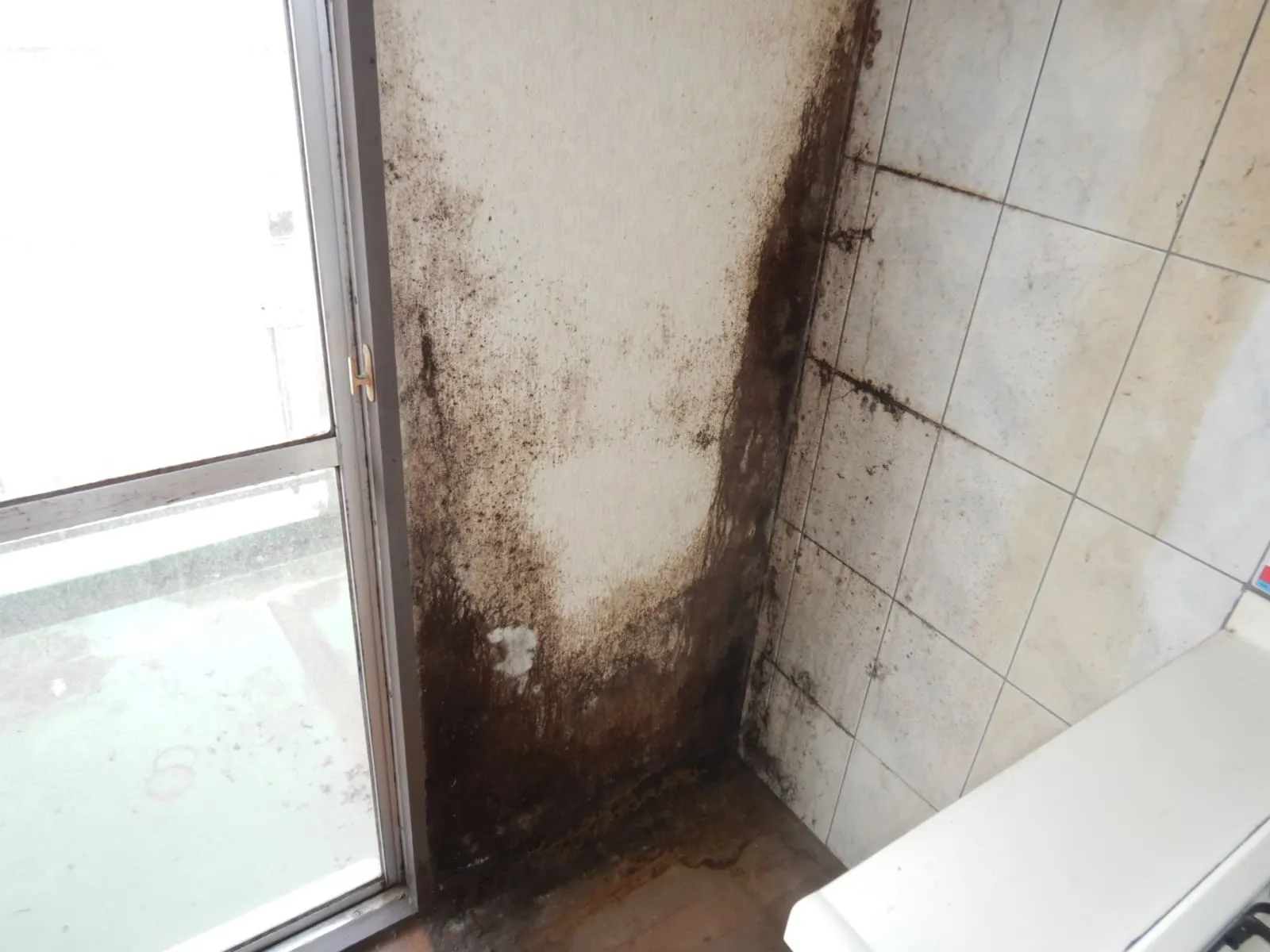 築30年以上の分譲賃貸マンション｜外壁側キッチン壁の結露カビは張替えでは止まりません