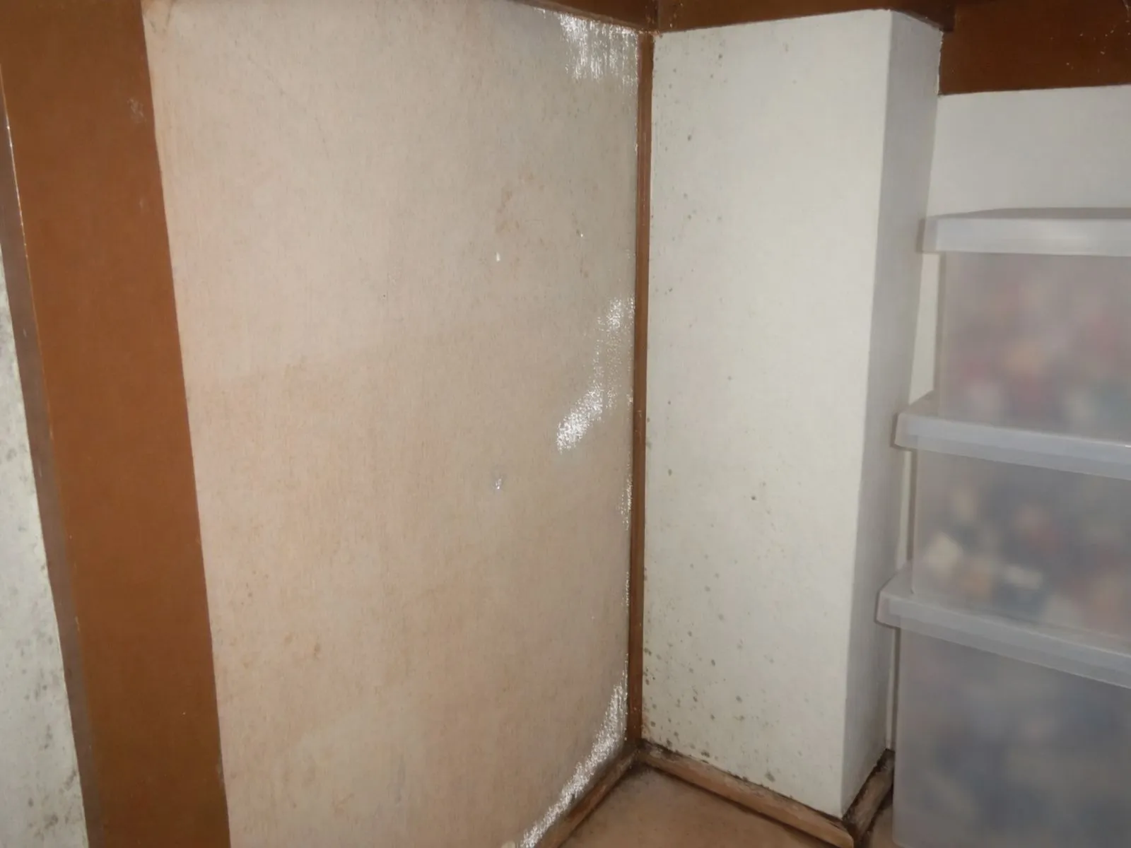団地押入れの結露カビ｜ベニア張替えだけでは止まらない理由
