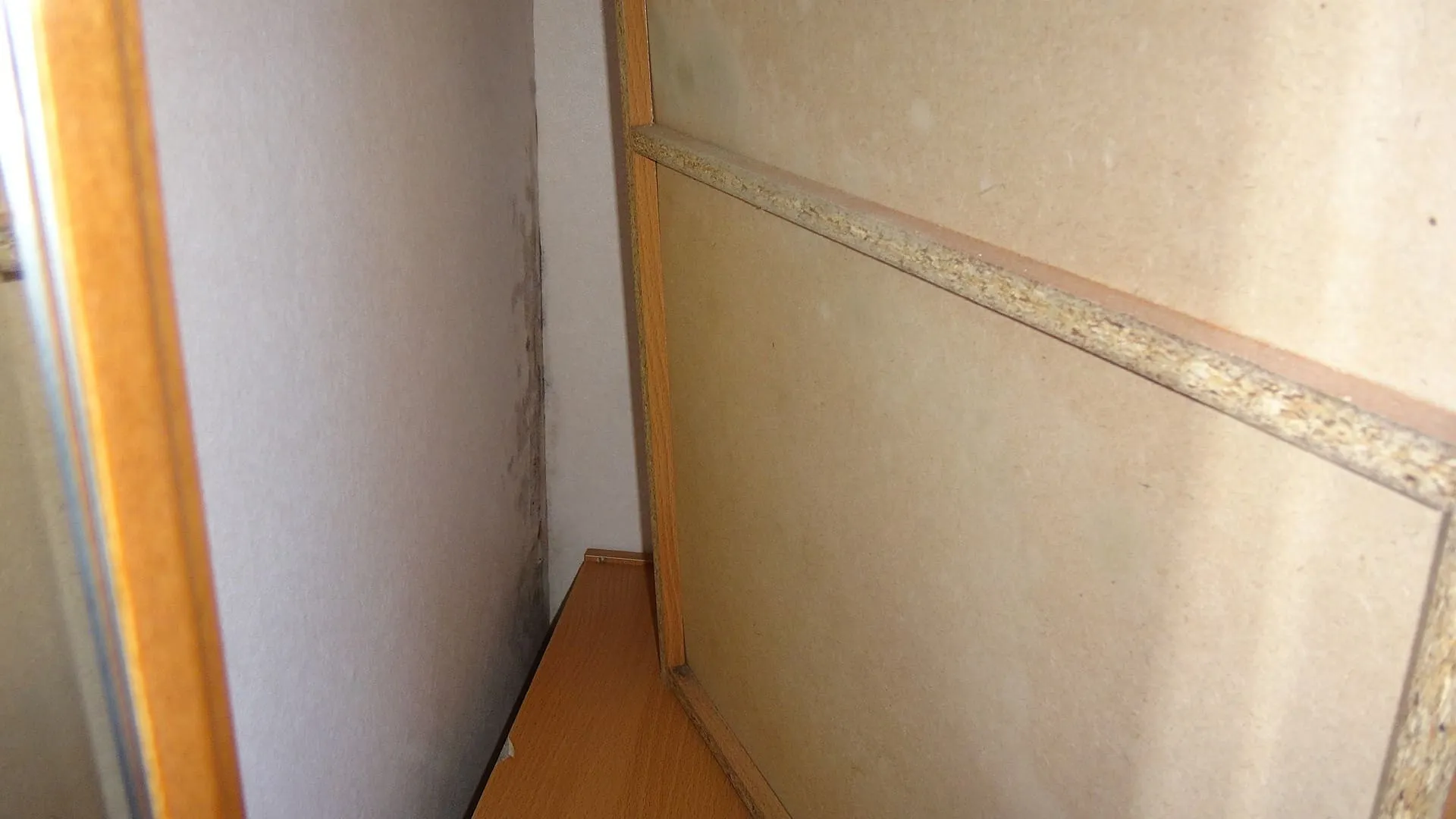 北側洋室の黒カビ原因はコンクリート直張り壁紙|結露カビが発生する理由