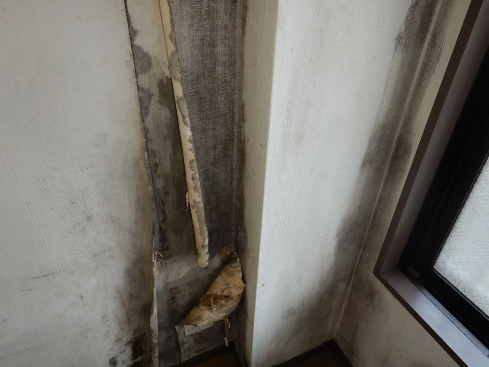 築30年以上の分譲マンション｜北側洋室で結露カビが発生する理由