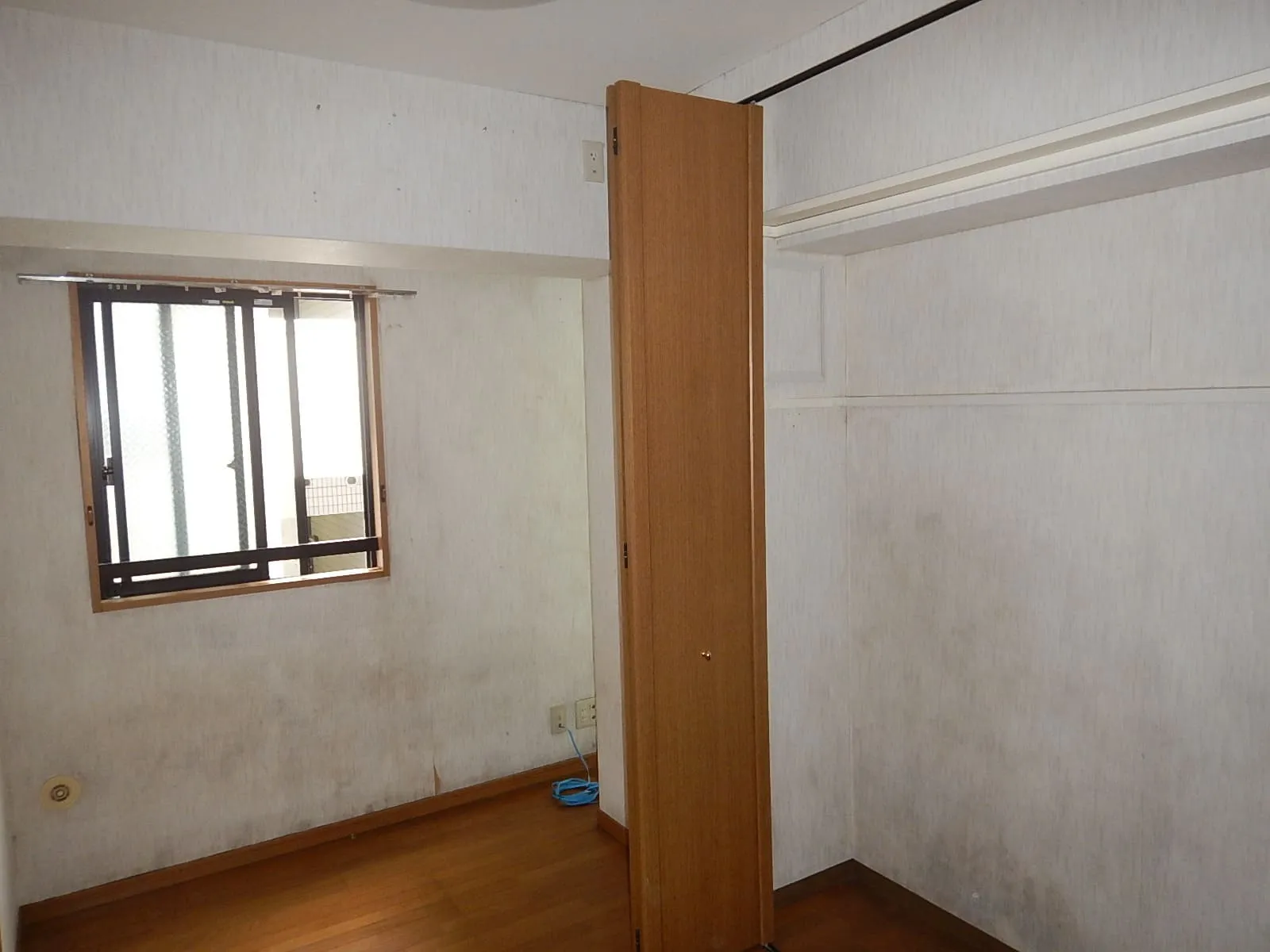 壁紙を剥がすとカビが見つかることがあります