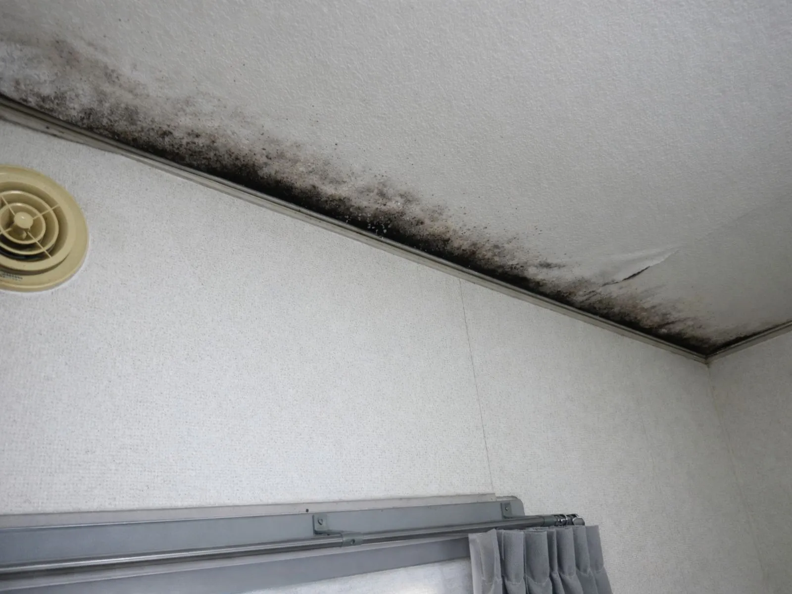 共用外廊下側の北側洋室で天井にカビが出る理由