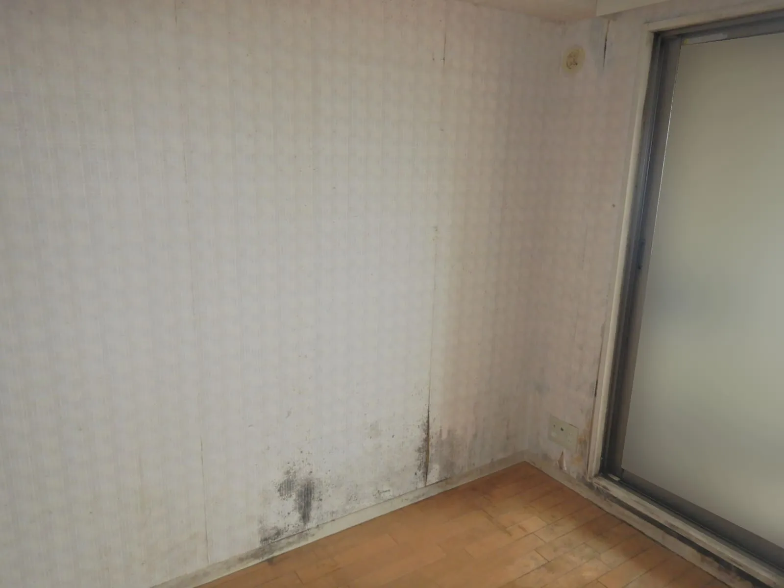 壁紙を張替えてもカビが止まらない理由