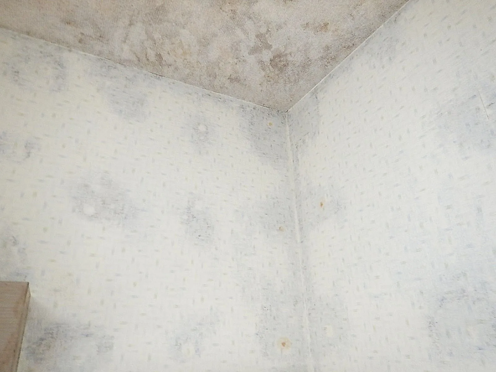 壁紙のカビは、防カビ工事だけで止められるのでしょうか。