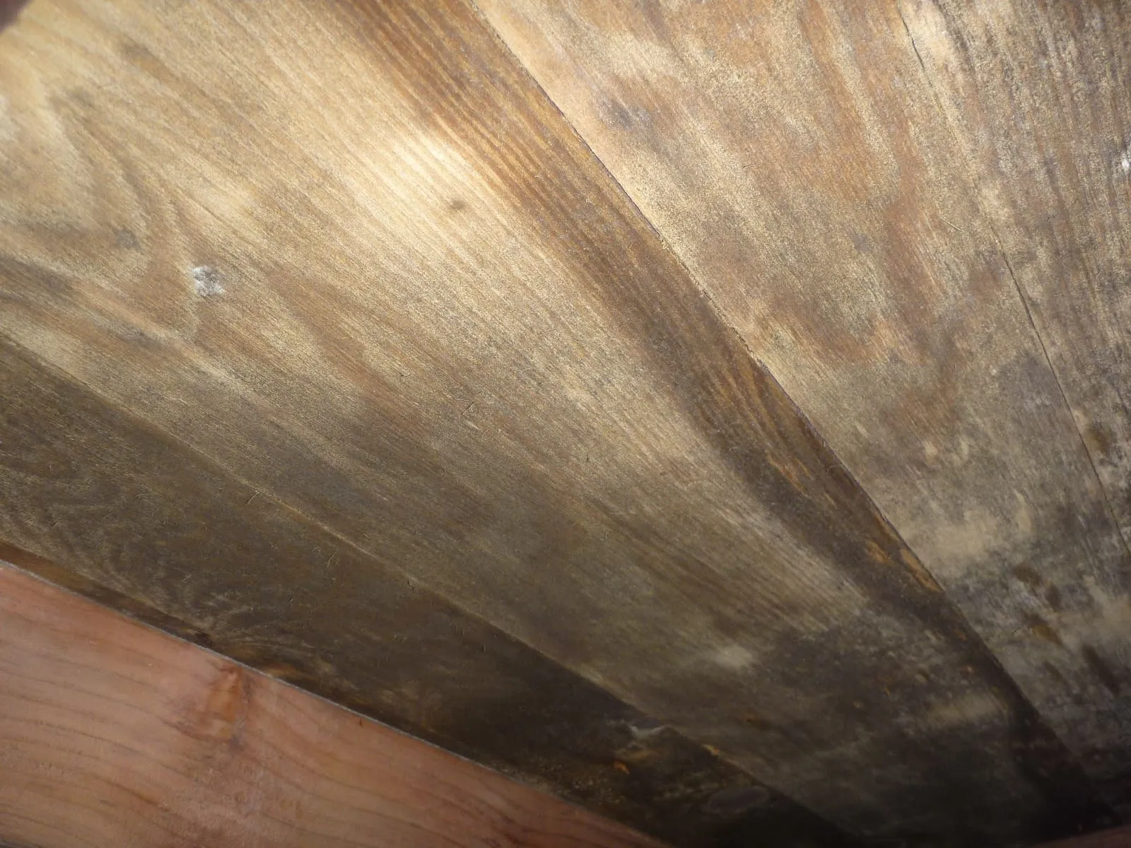 【床下】それでカビは止まりますか？