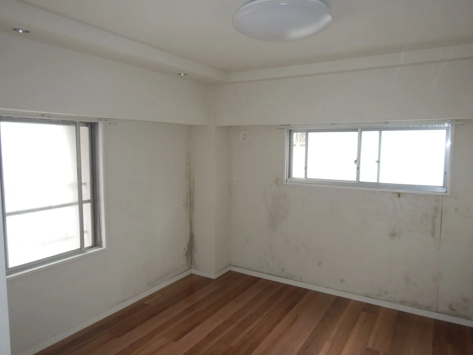 バブル期マンション・団地で壁紙カビが多い理由｜コンクリート直張り壁紙と結露の問題