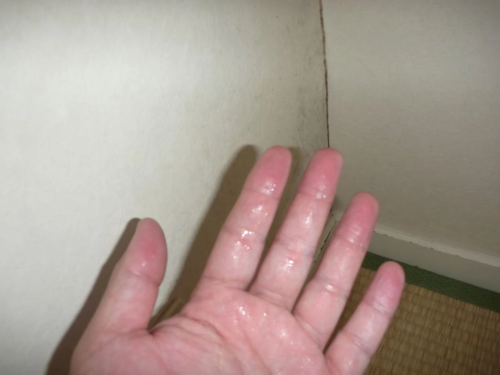 天井や壁、触るとしっとりしていませんか？