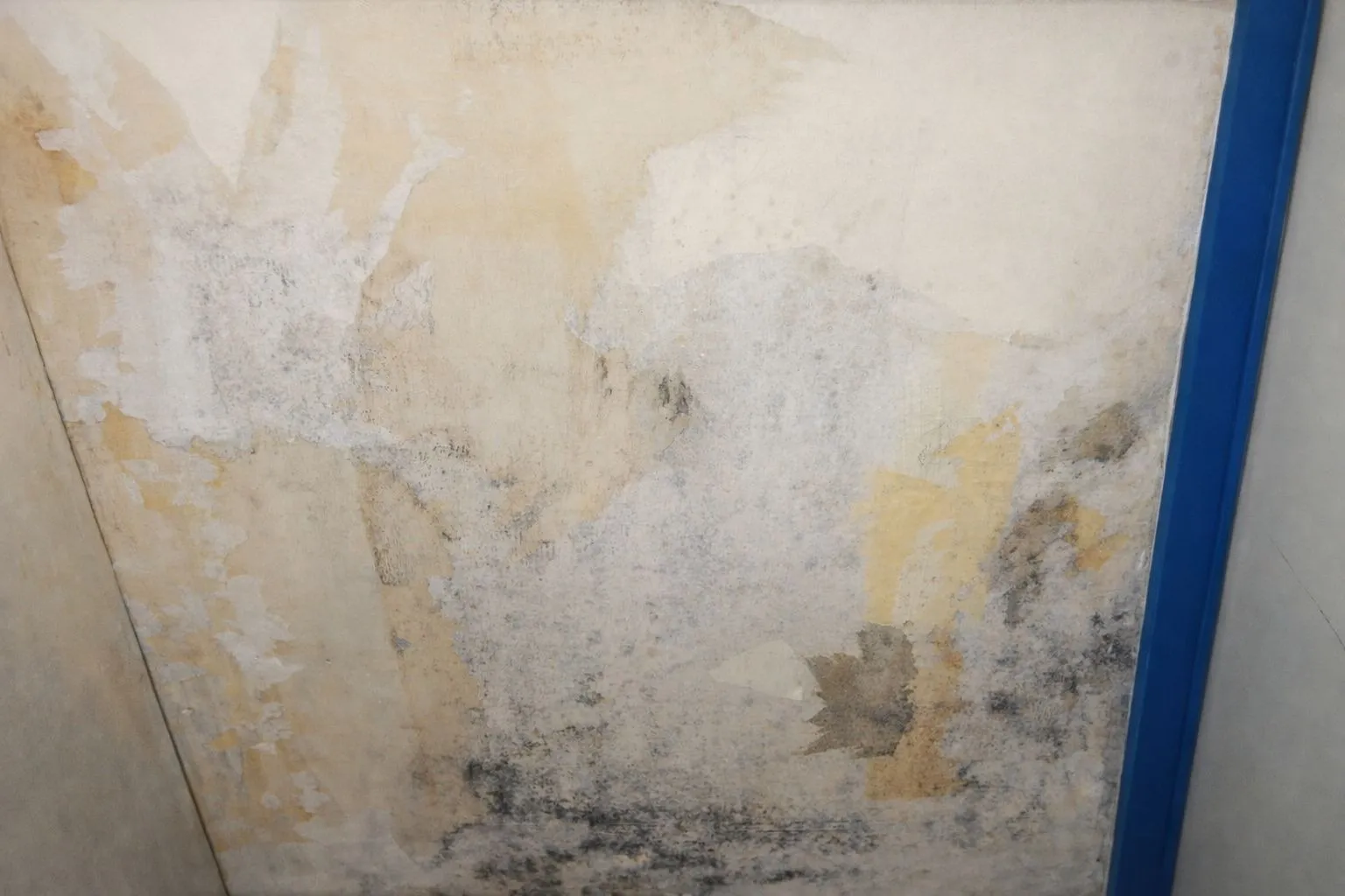 マンション・団地の住まい、売却する前に「そのカビ」どうします？