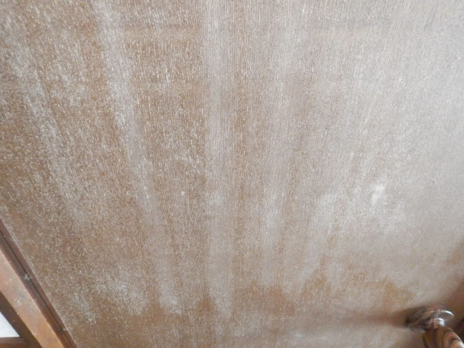 古い家のトイレの扉、なぜカビやすいのでしょうか?