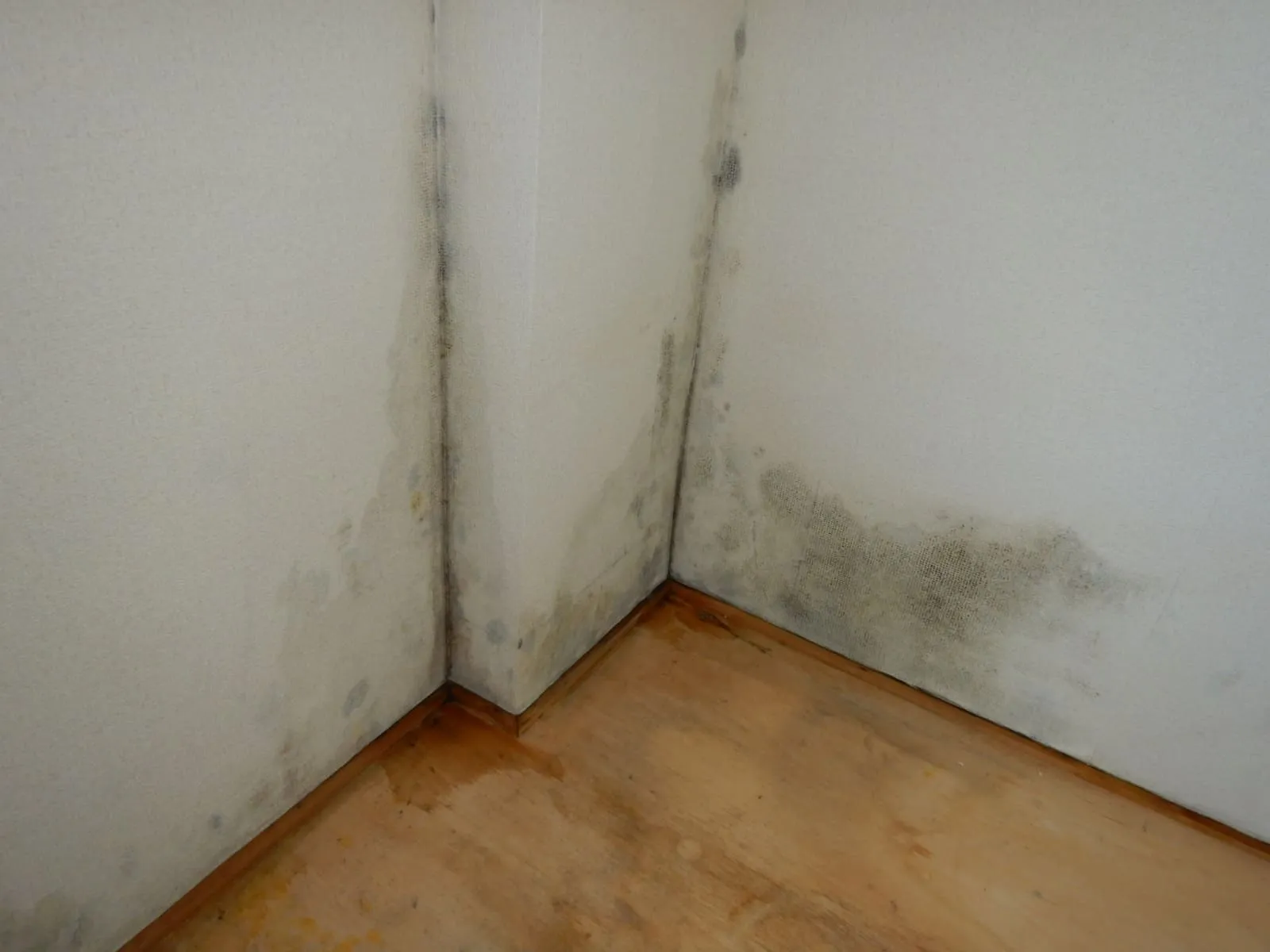 団地のクローゼット、なぜカビるのでしょうか？