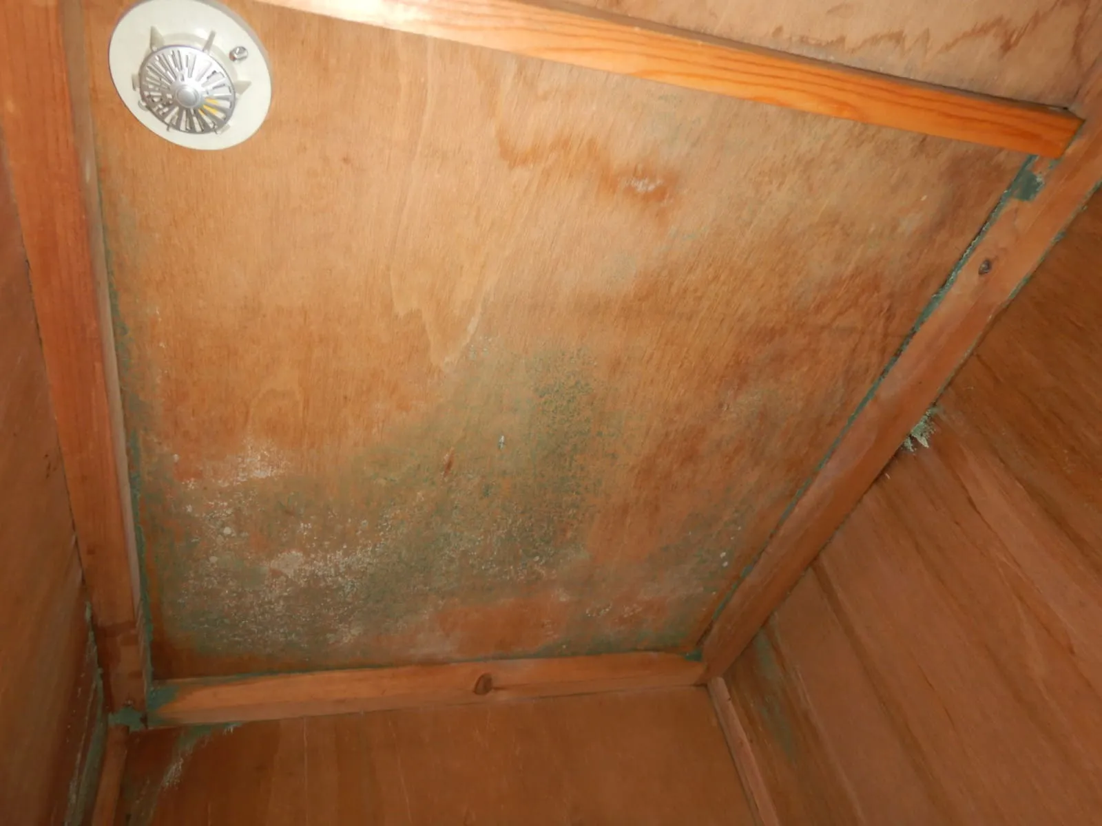 防カビ工事だけで止まるカビではありません