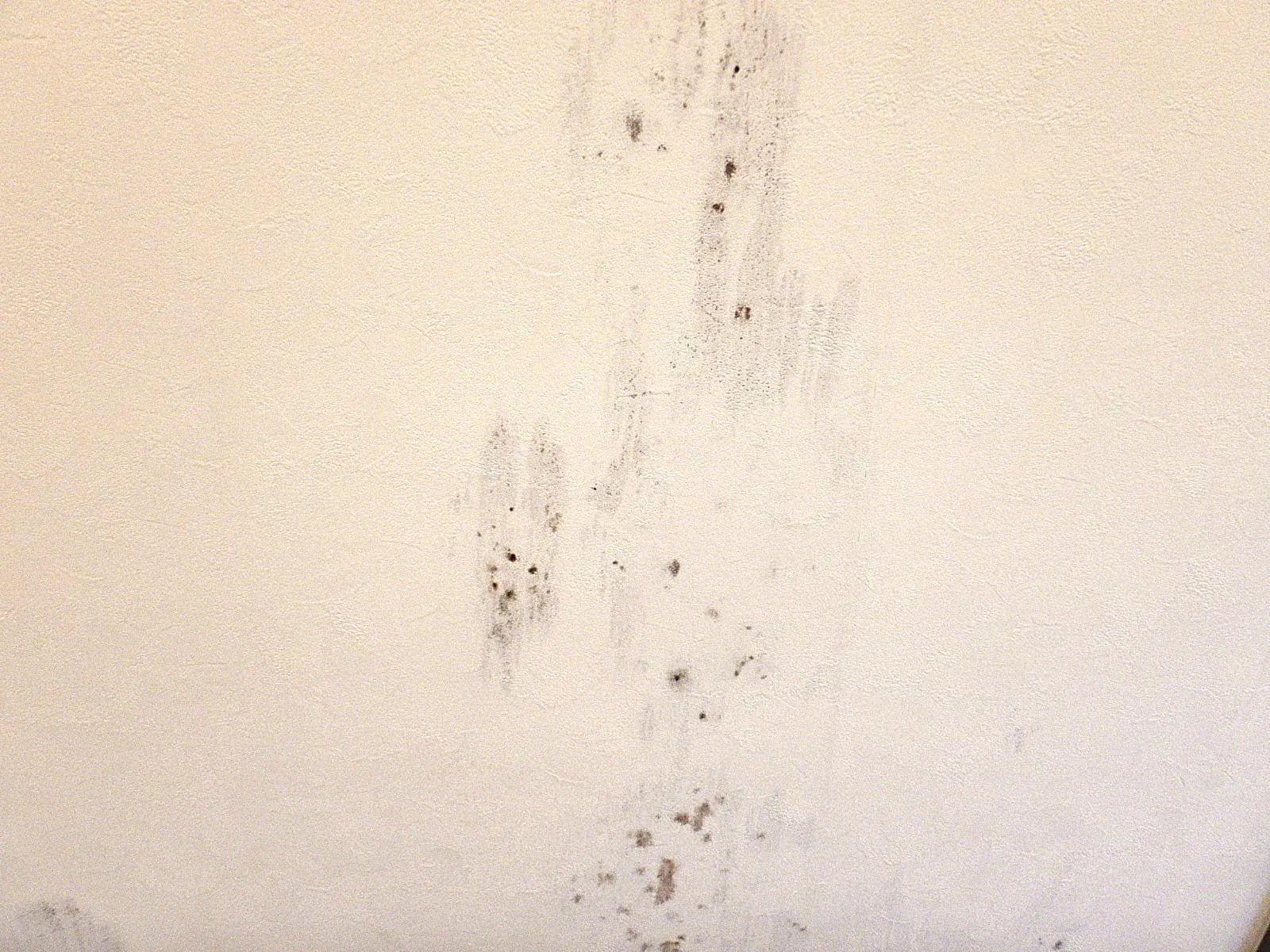 夏でも結露は起きる｜天井や壁が濡れる本当の理由