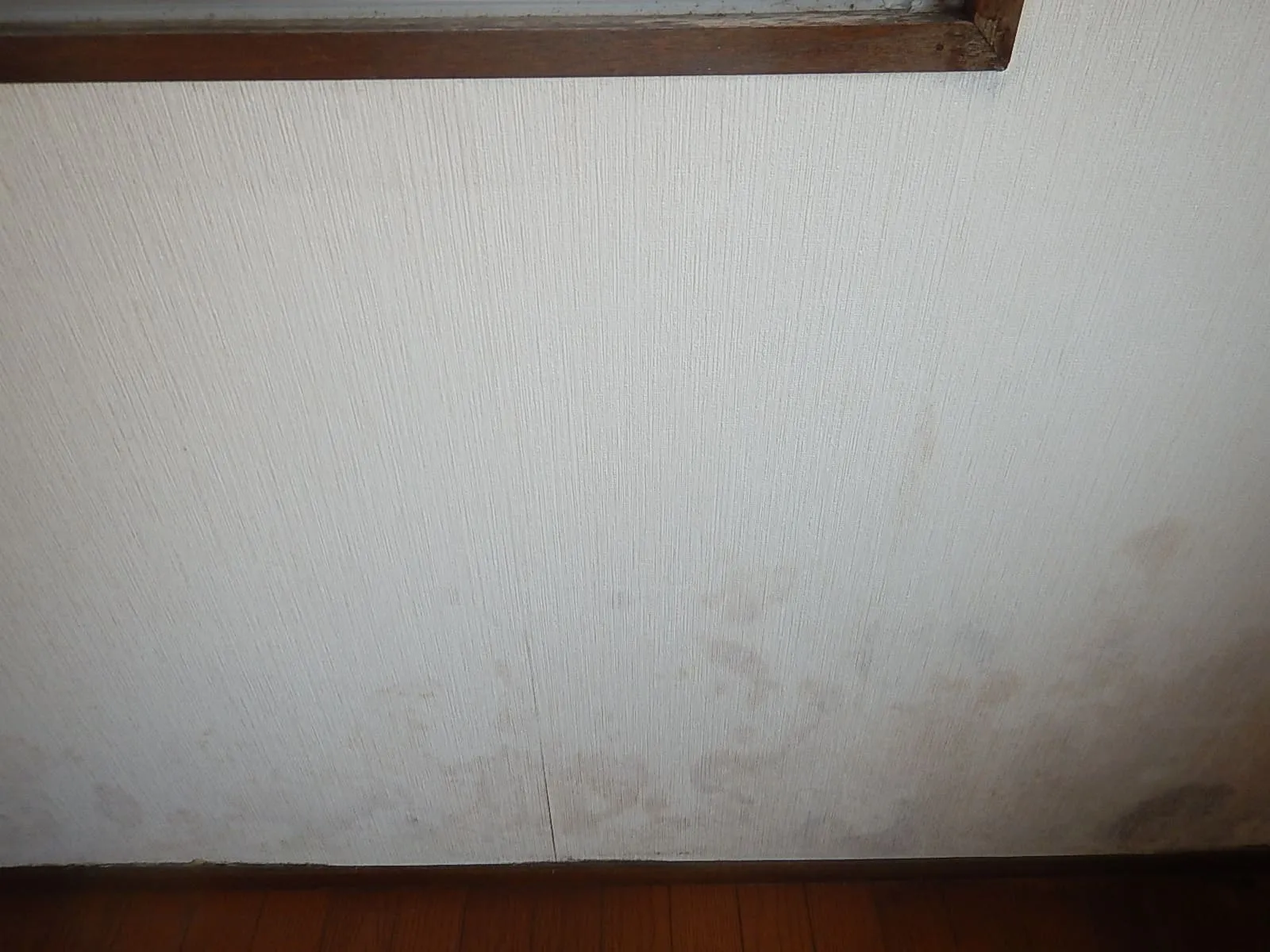 普通の壁紙張替えとは?カビがある場合の見えないリスク