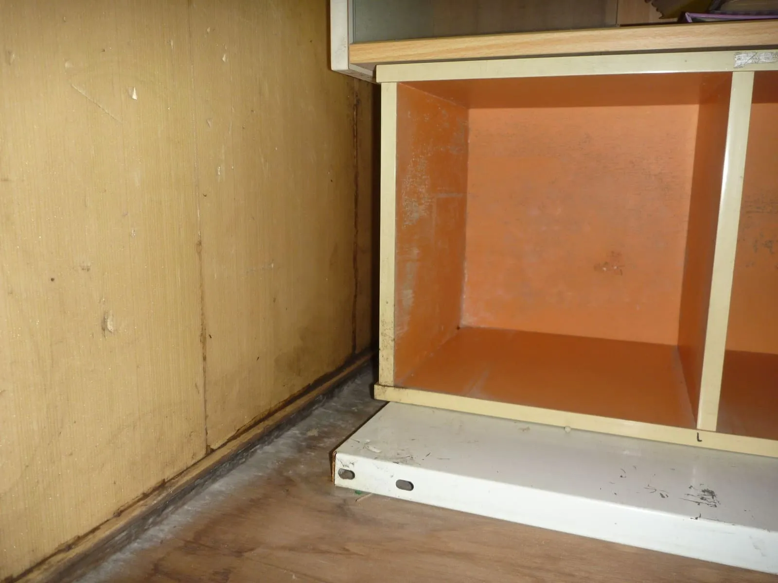 押入れのカビはなぜ止まらない？原因は中にあります【埼玉】