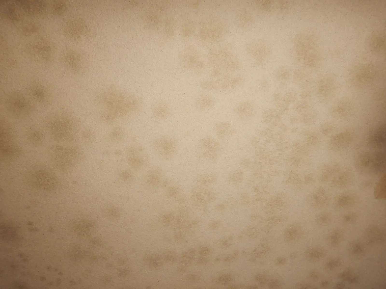 和室の砂壁のカビ、どう対応する?多く選ばれている方法【埼玉】