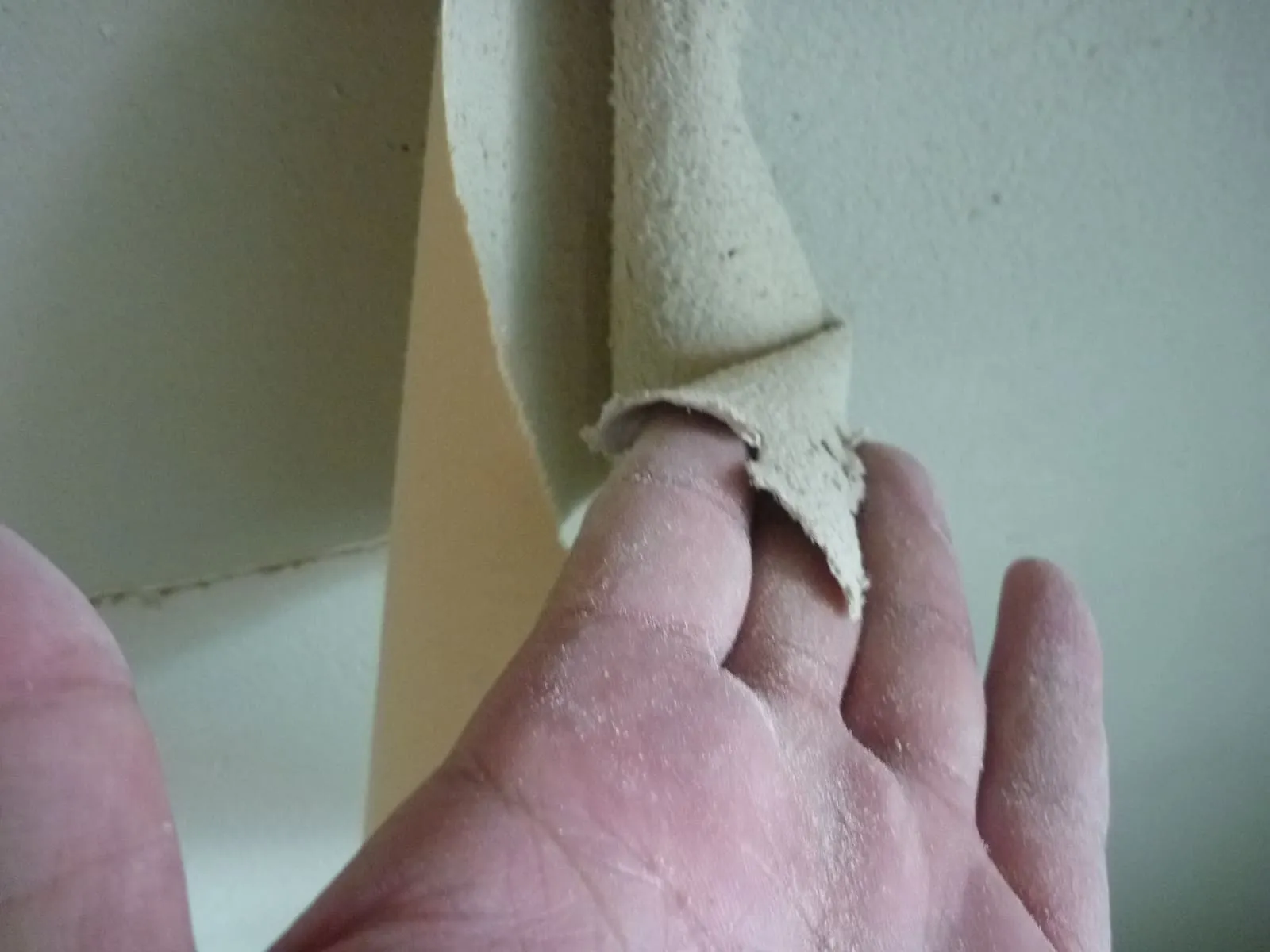 壁紙の上に珪藻土を塗るとどうなる?カビとの関係【埼玉】