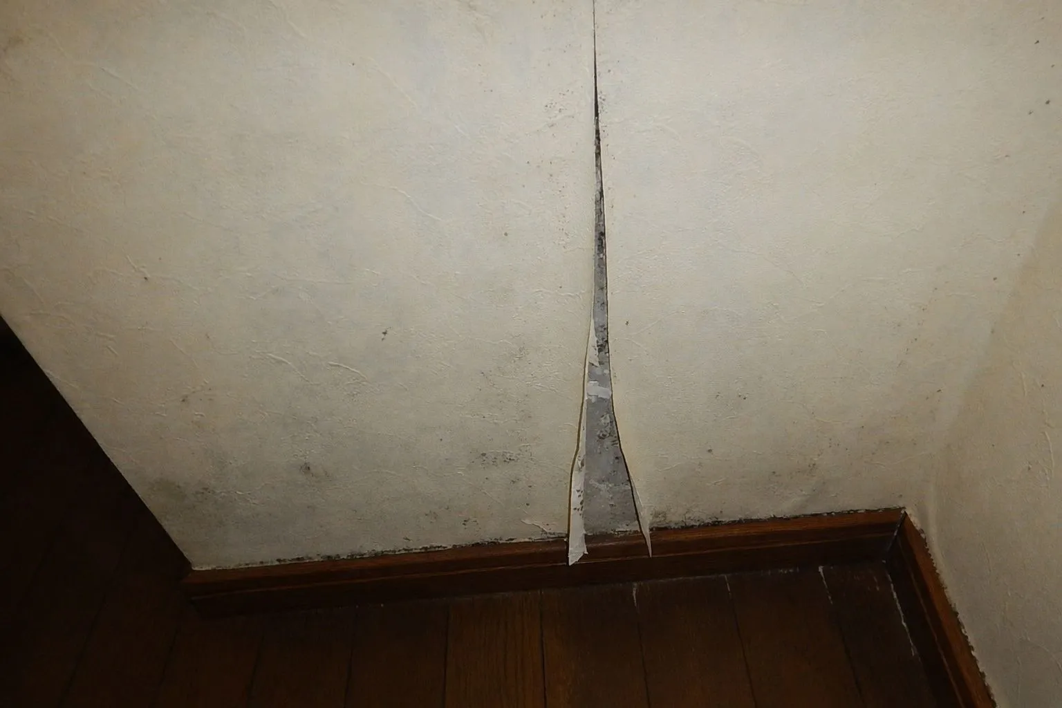 朝と昼の寒暖差でカビが出る？築30年以上のマンションで起きていること【埼玉】