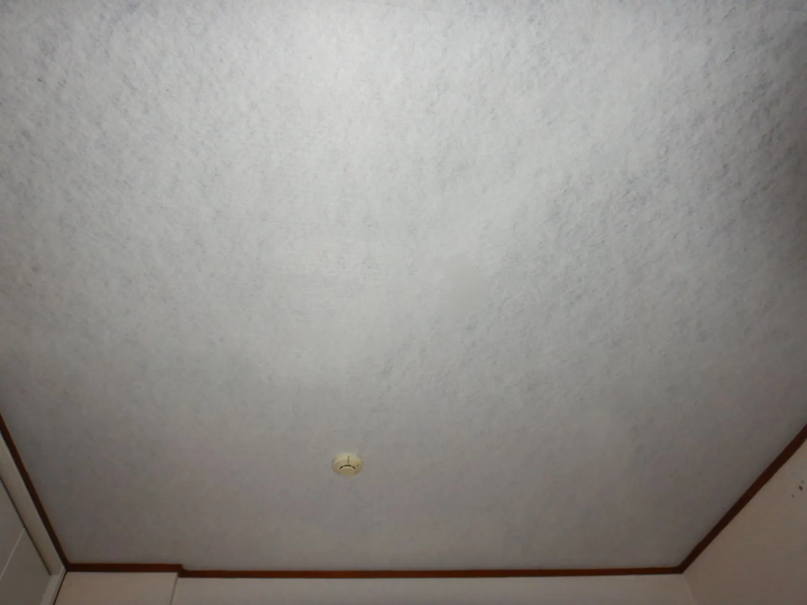 結露は冬だけではありません。夏型結露と冬型結露への対策とは【埼玉】