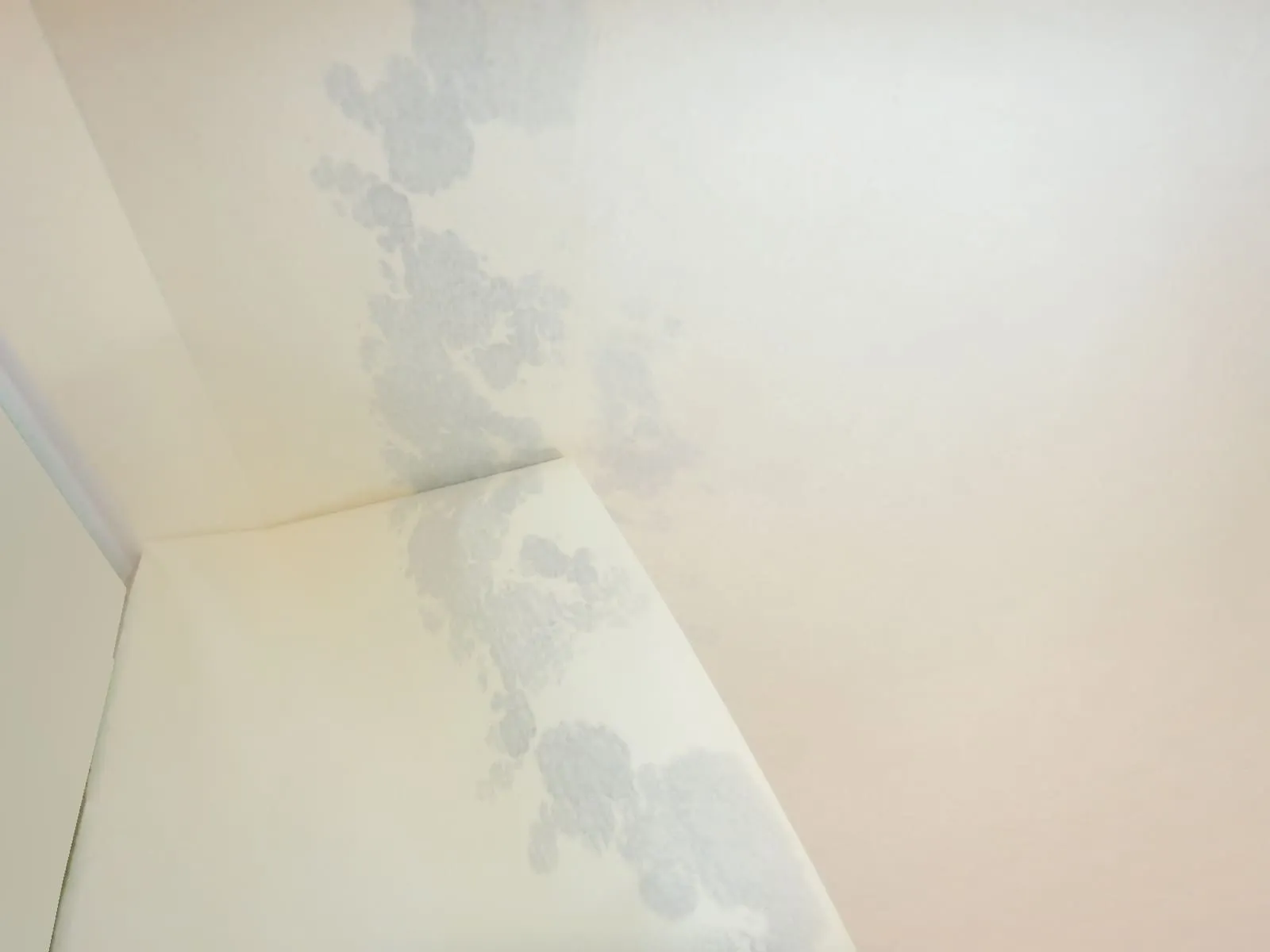 壁紙の裏で起きている夏型結露