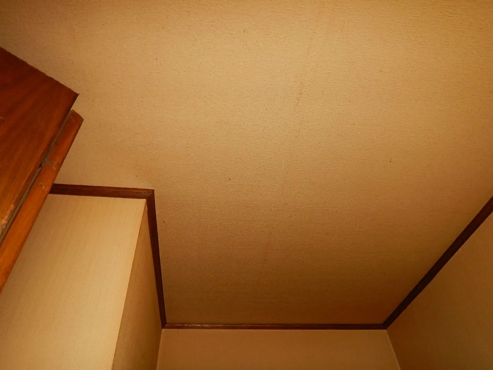 【消臭の話】シーラーで臭いは止まるのか